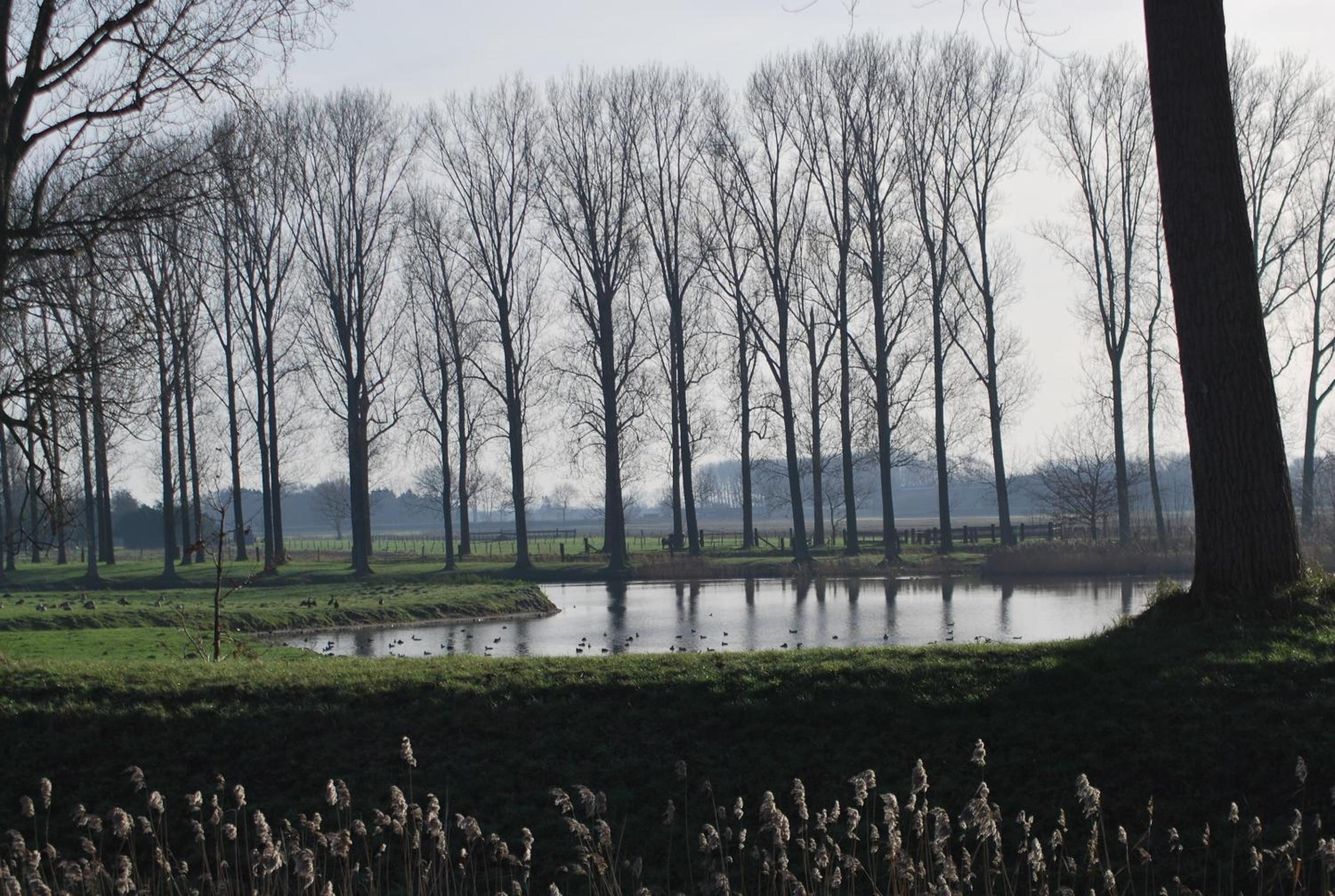 De Zonnebrug