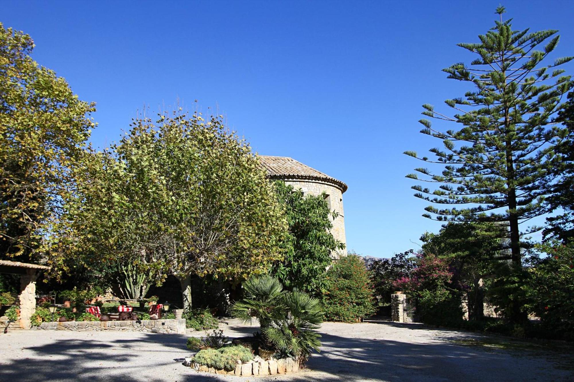 Photo 42