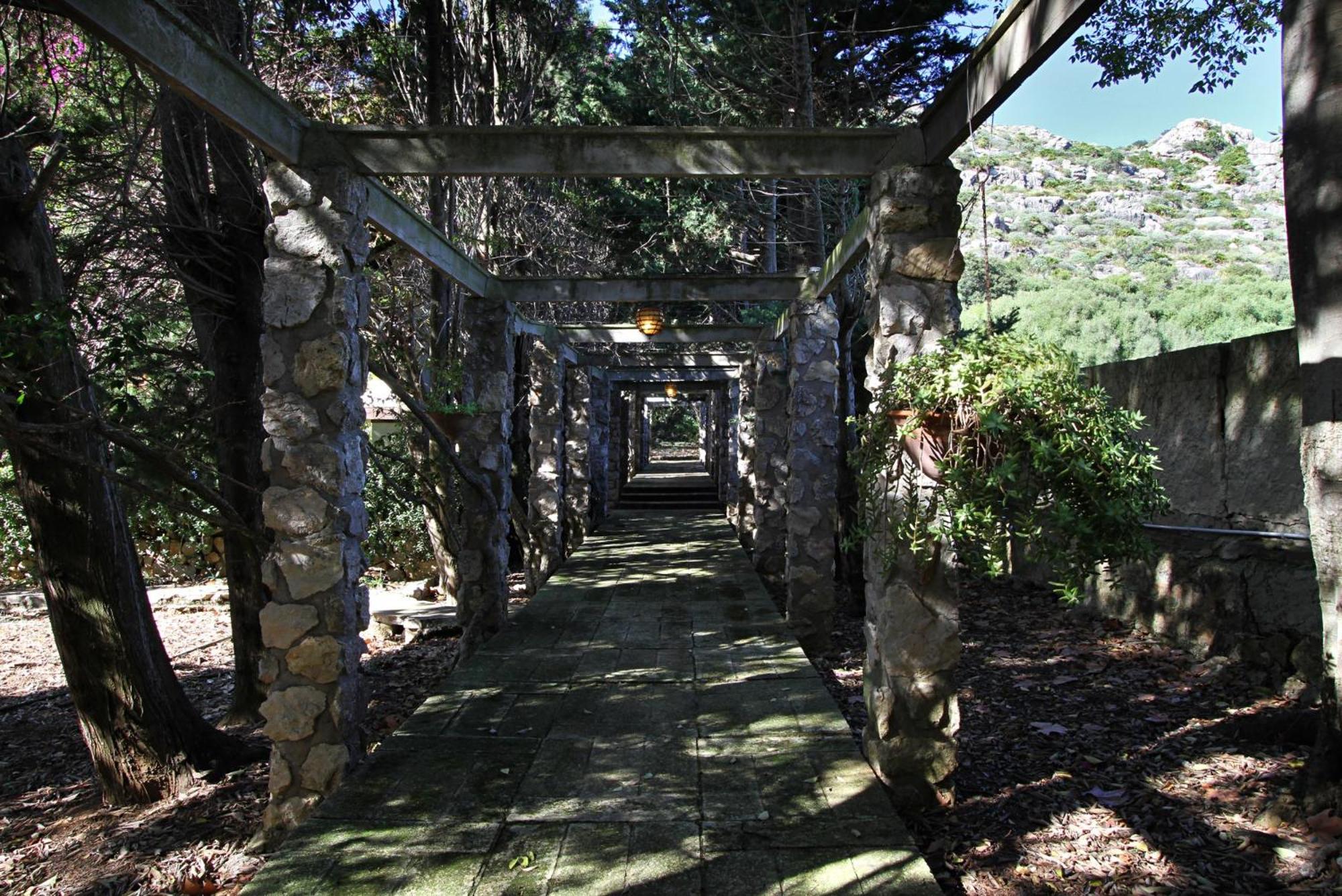Photo 33