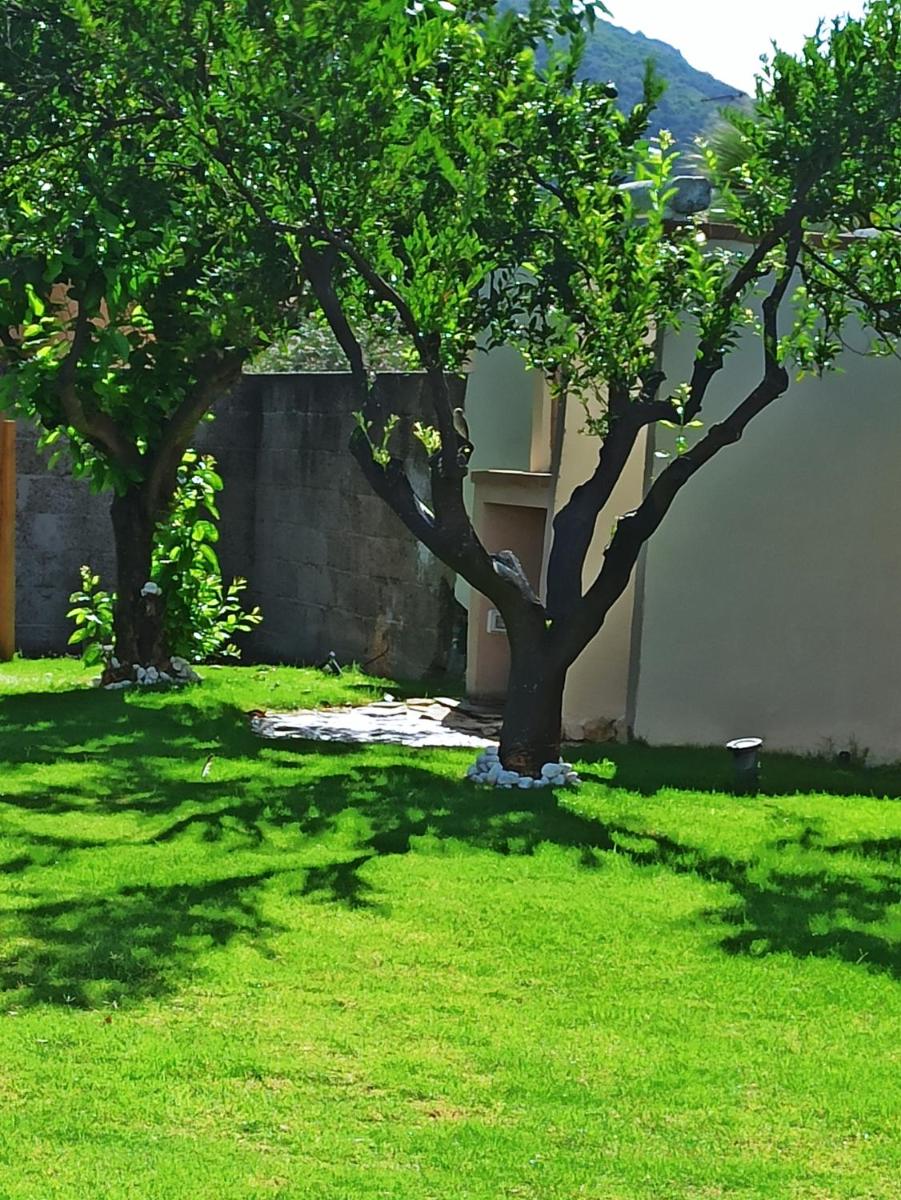 ALBELDI' photo 3