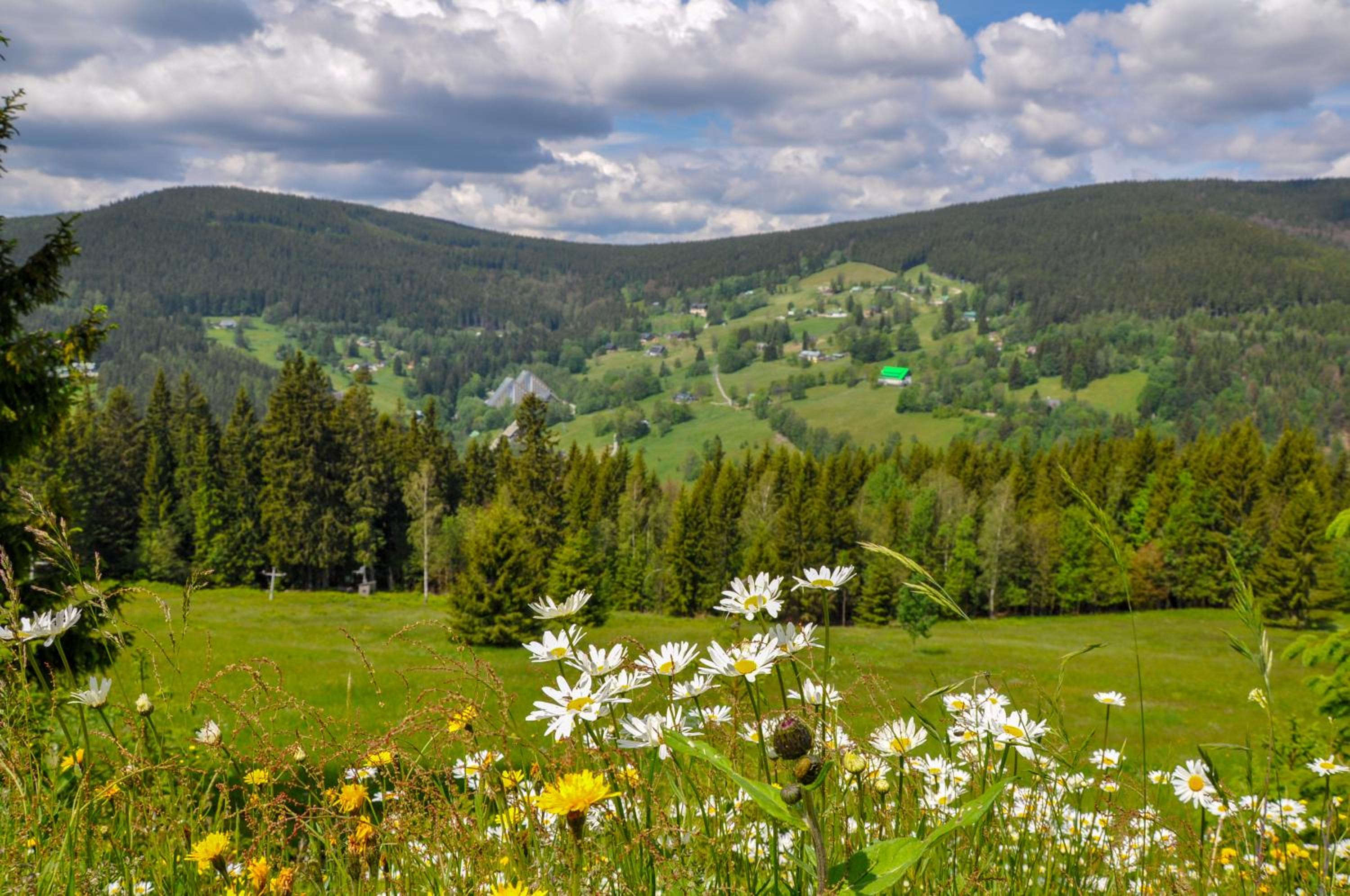 Pension Horalka