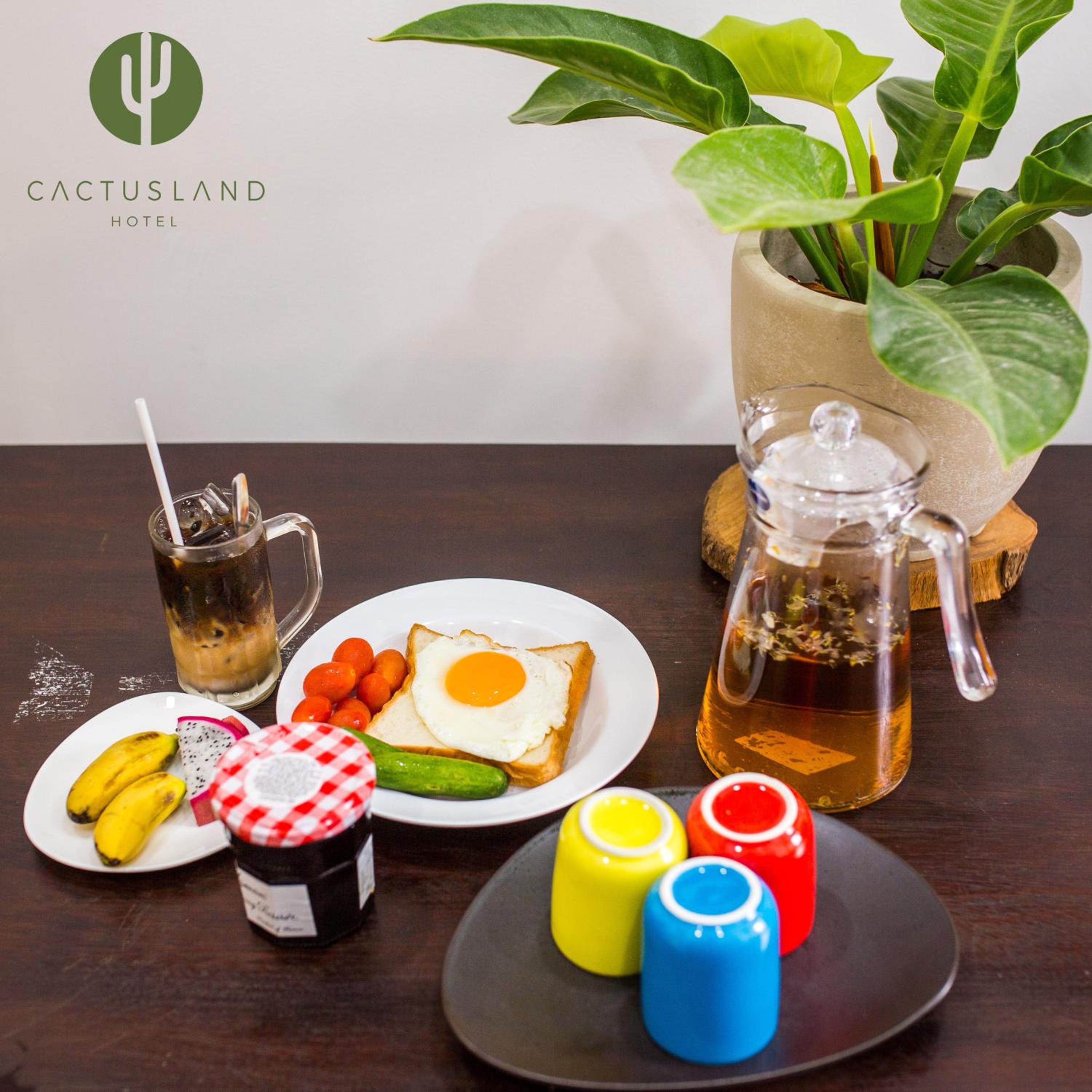 Cactusland Homestay - Tran Hung Dao