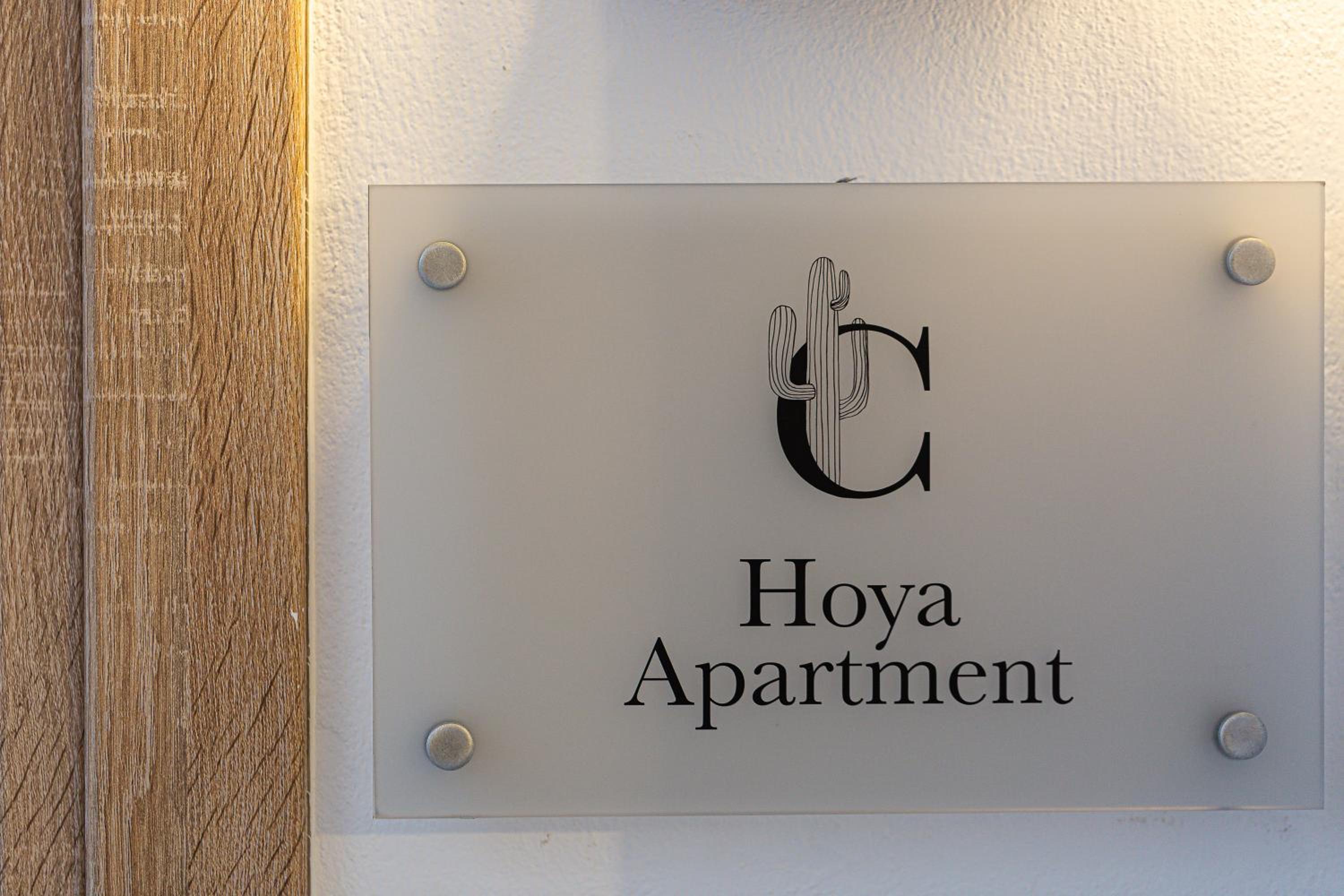 Cactopia Apartments- Hoya-Aeonium