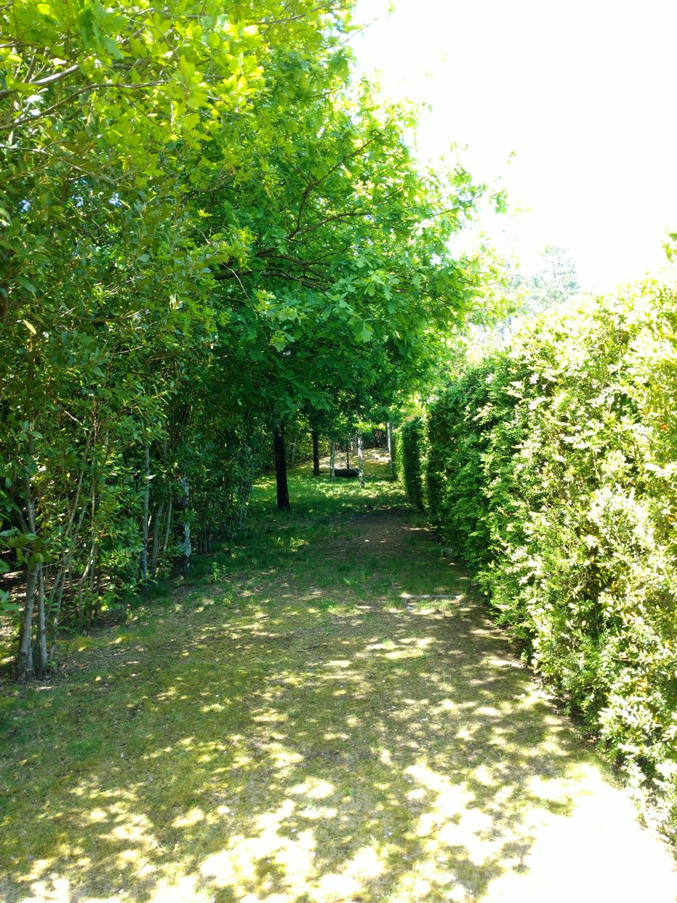 Photo 44