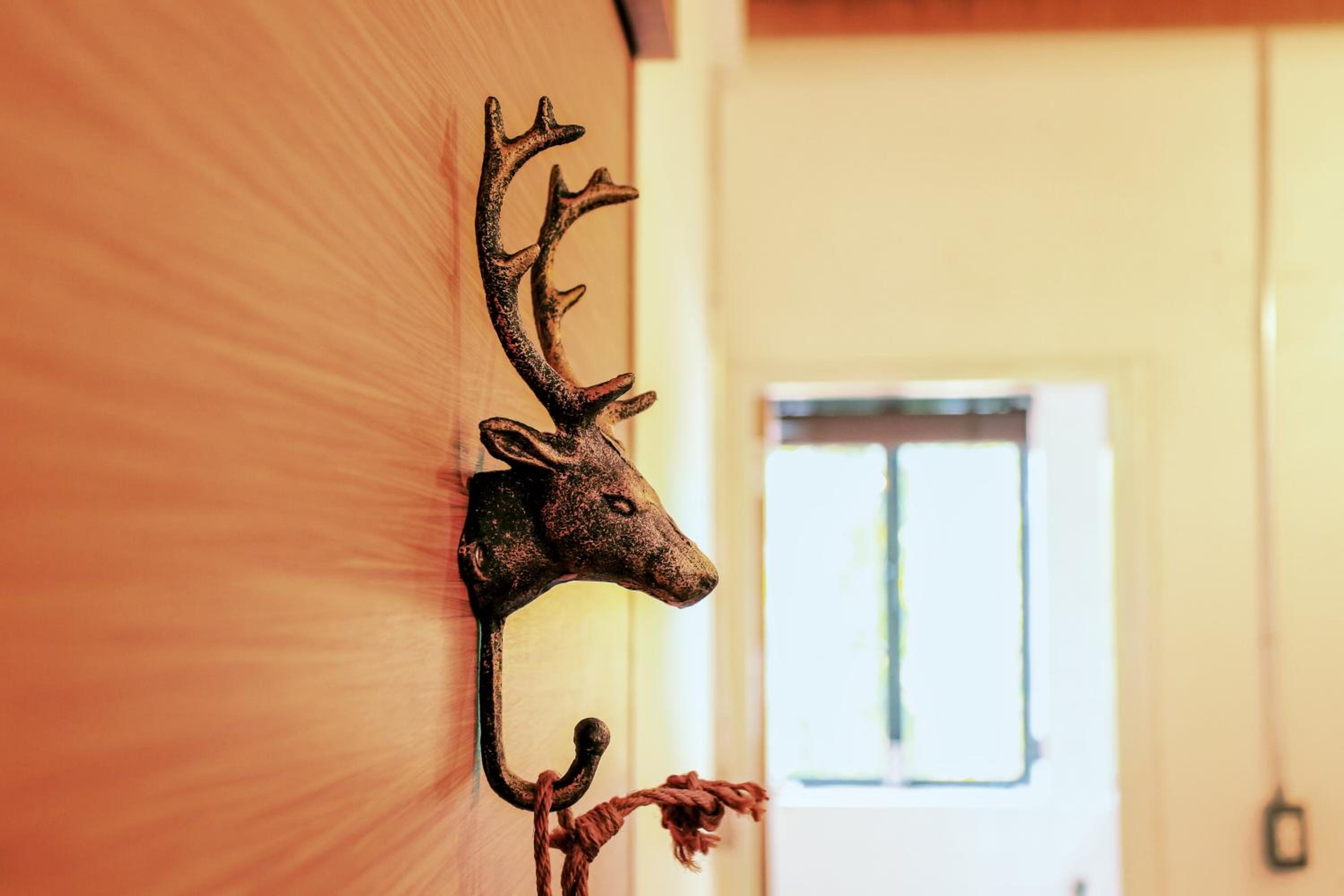 Hidden Habitat - Design Guesthouse