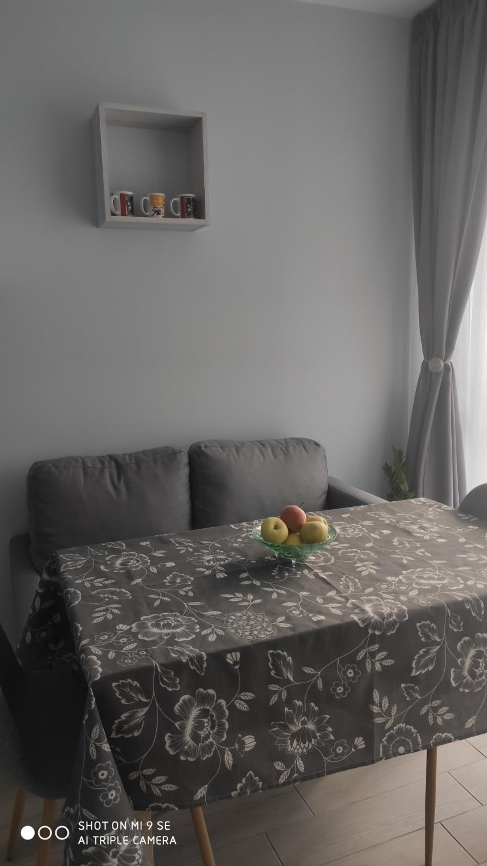 Apartments Siyana Varna-free parking