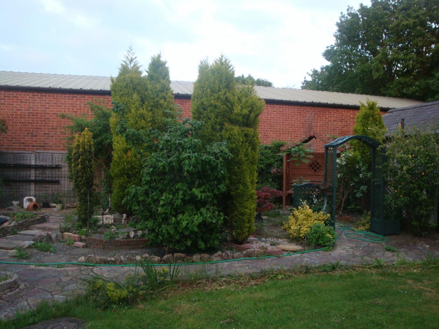 Photo 10