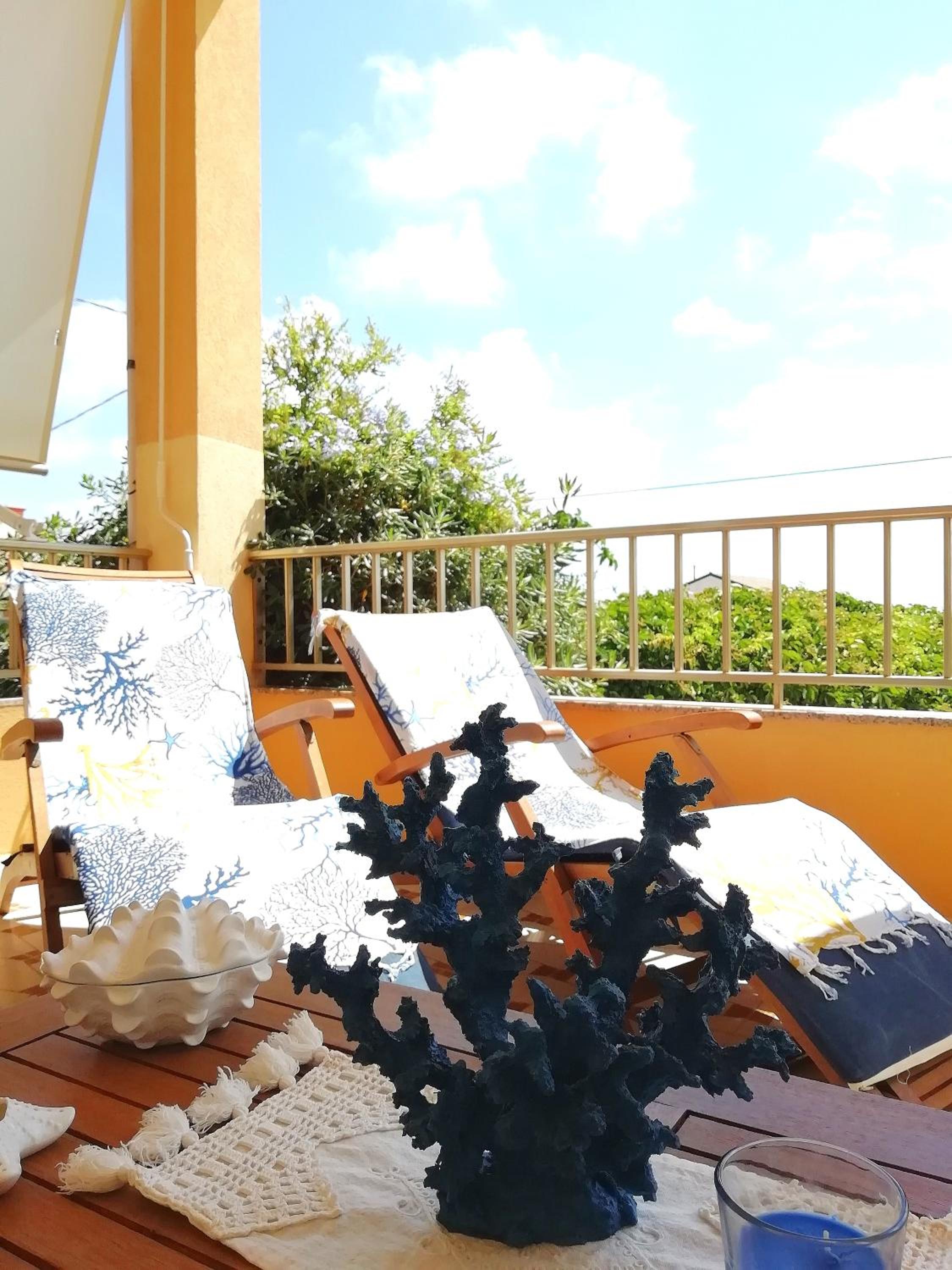 Sea Life Maganuco photo 3