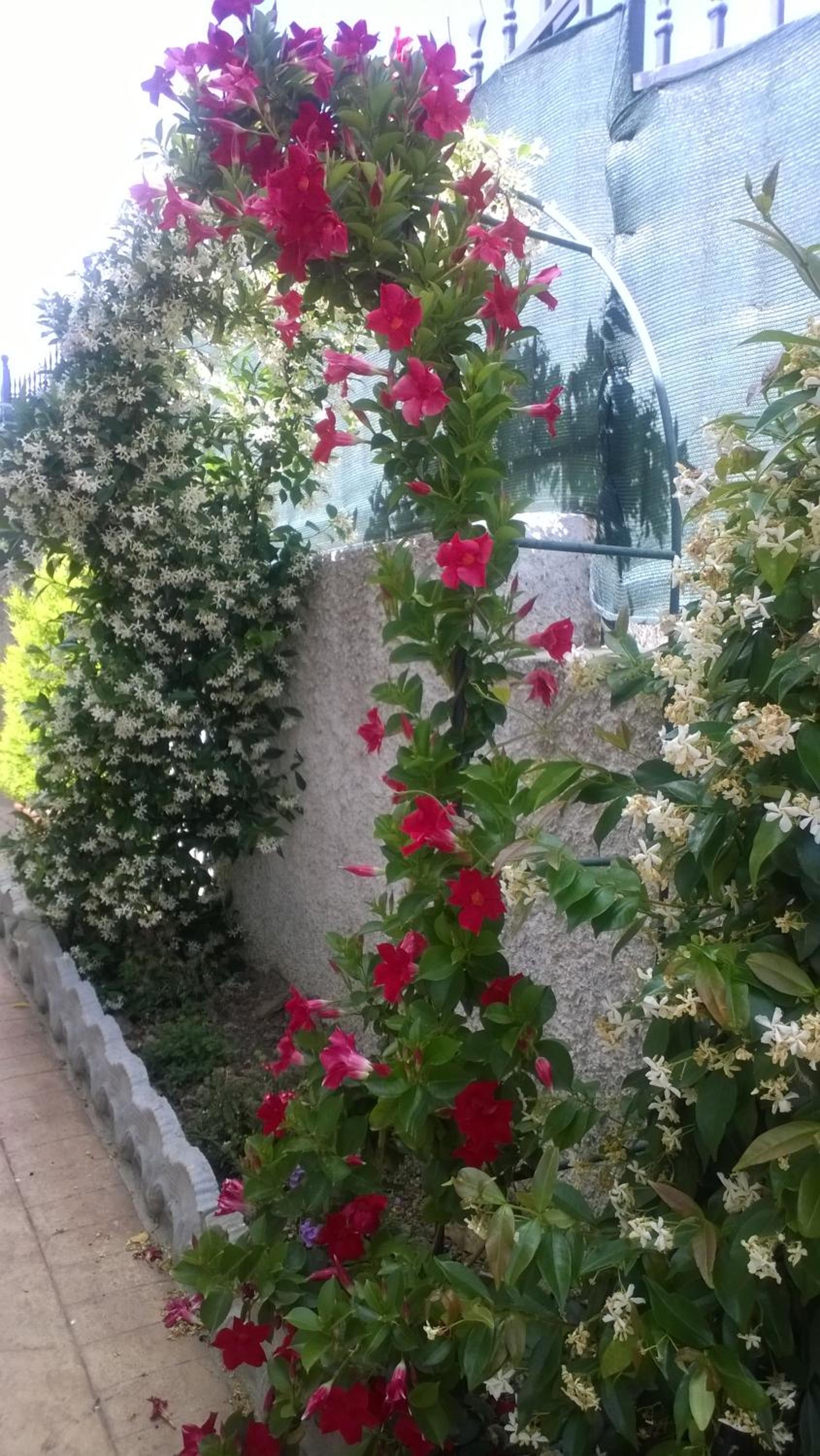 Bed and Breakfast Angolo Fiorito view 3