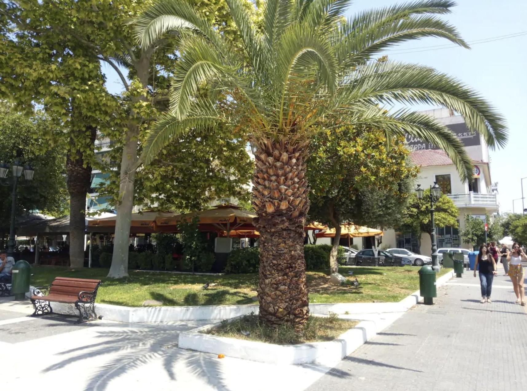 Studio in Kallithea next to Kiprou square