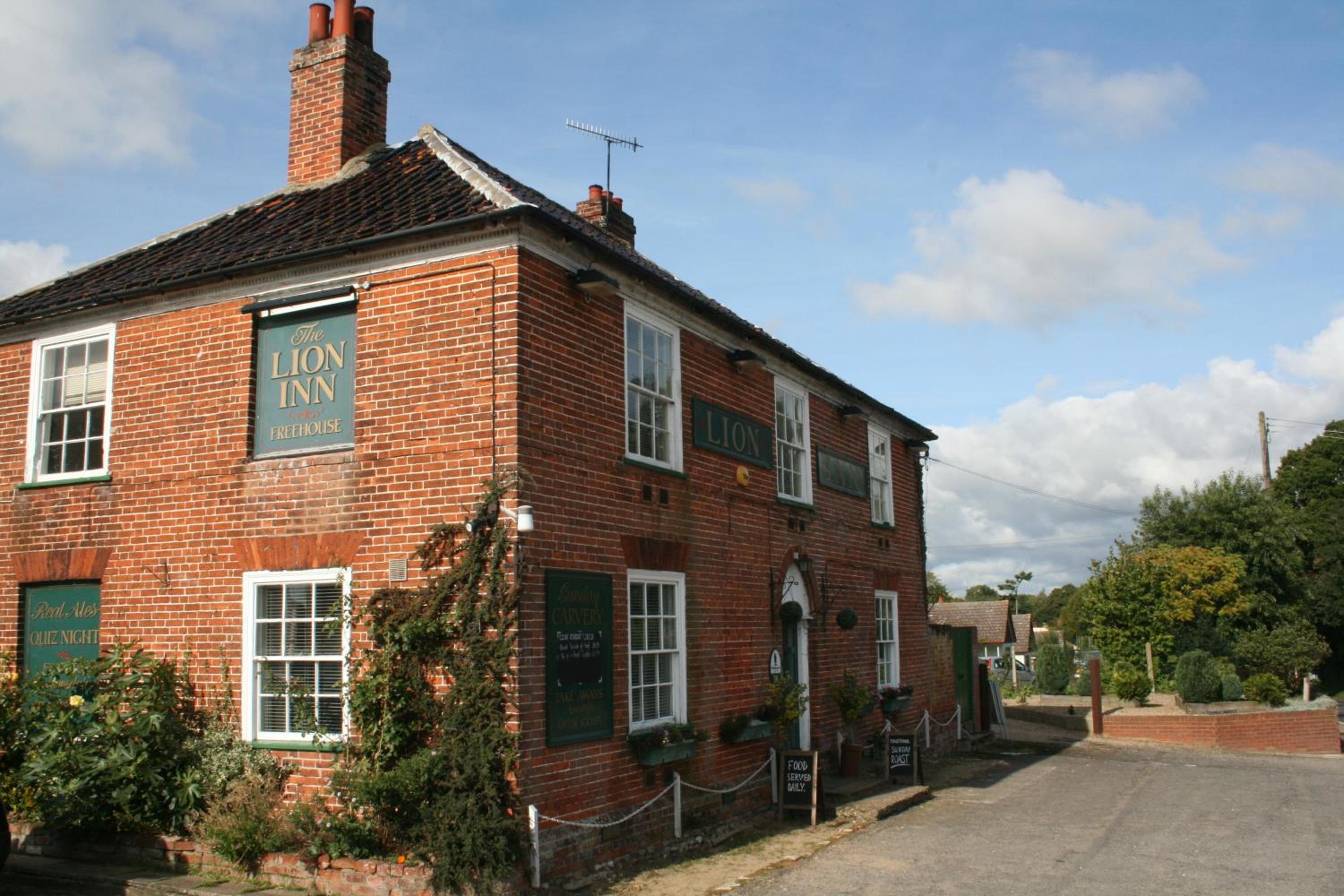 The Theberton Lion view 2