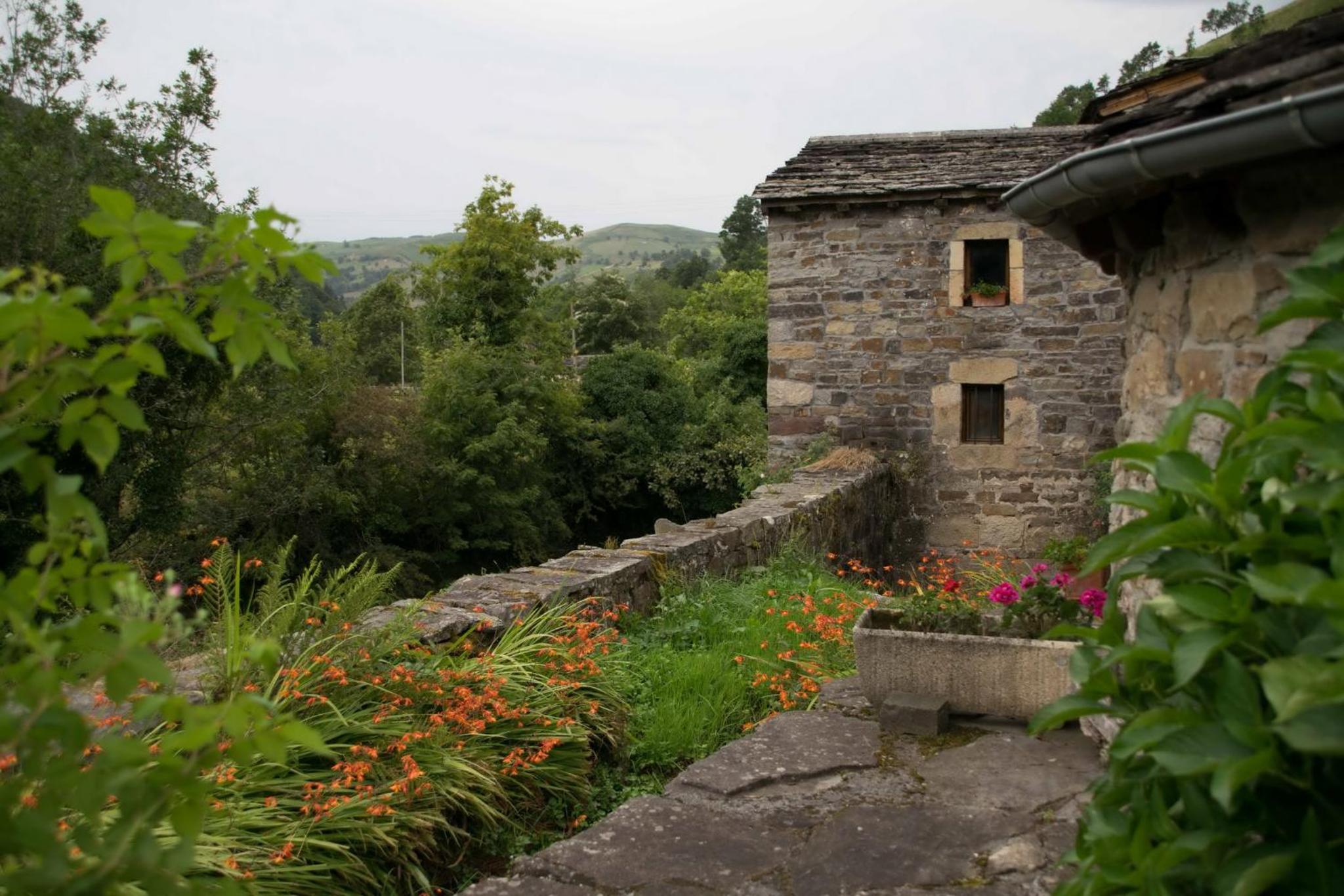 Photo 47