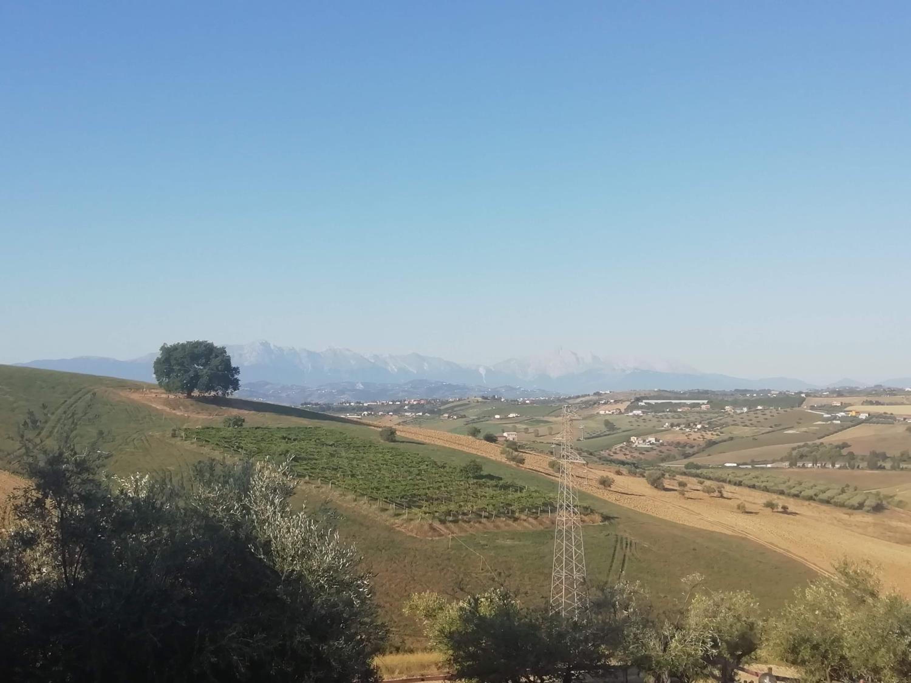 Photo 42