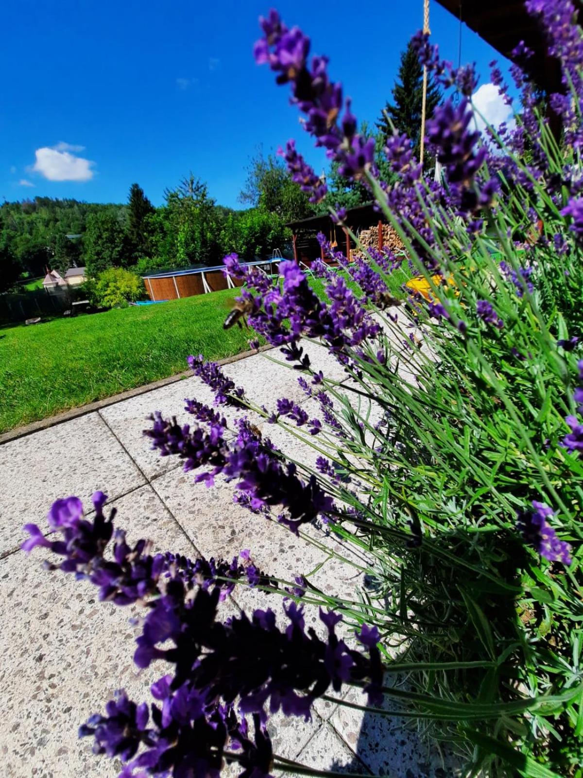 Penzion Garden