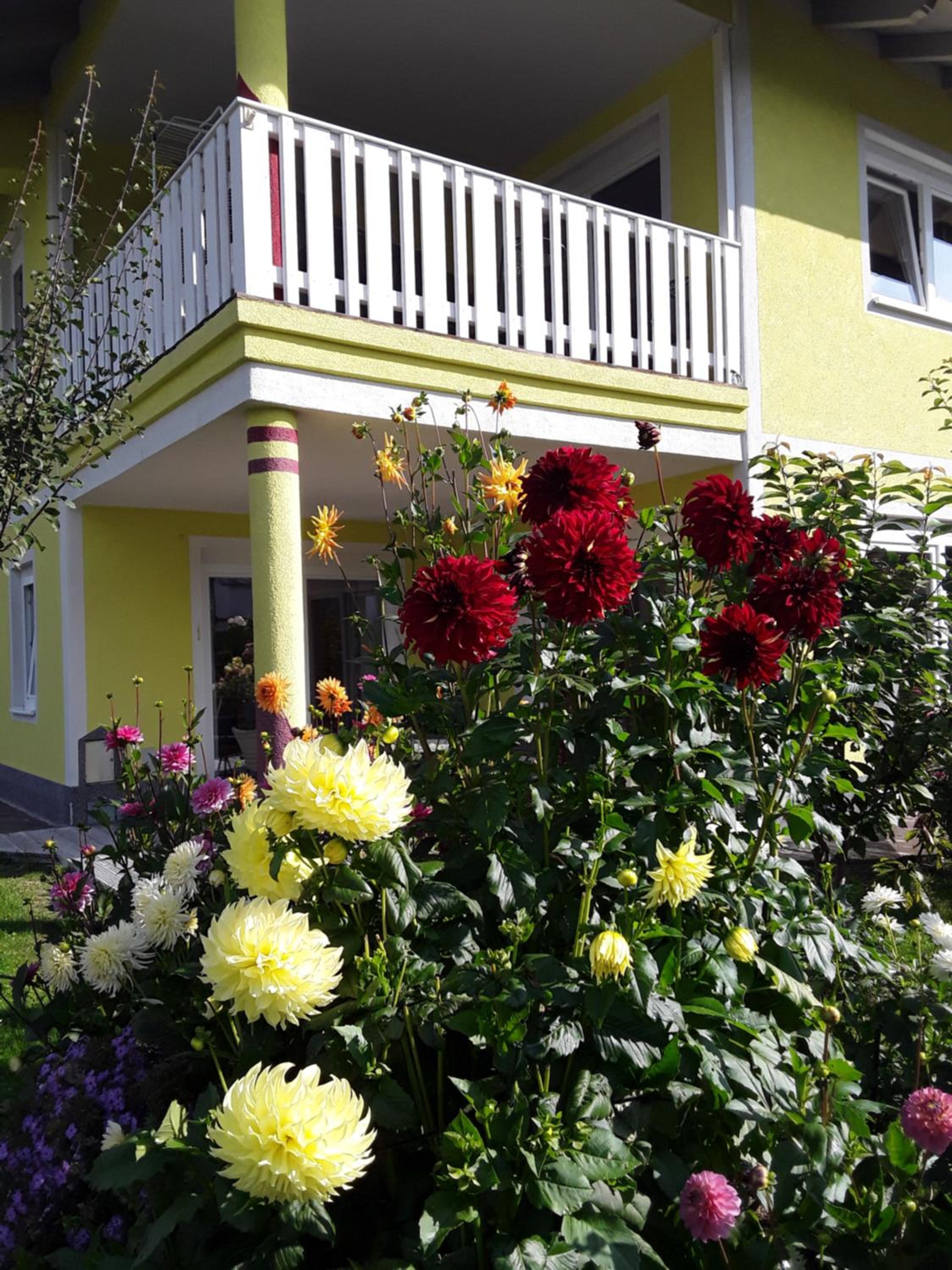 Apartments Steger