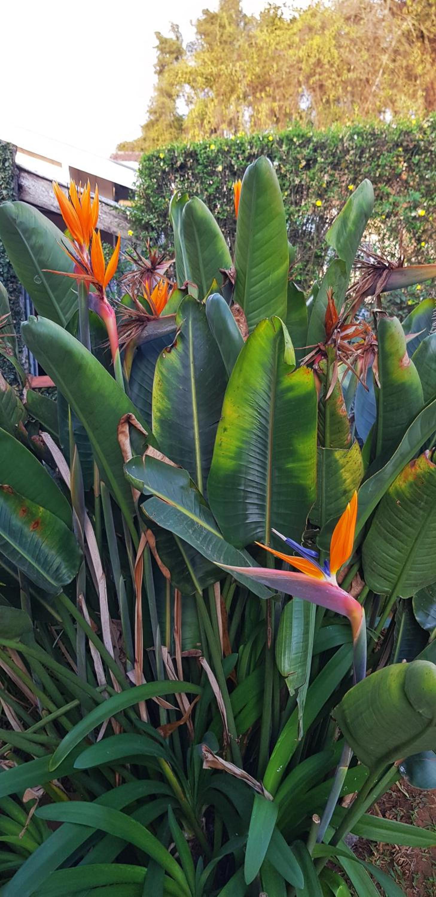 Recanto do Sonho em Campos do Jordão