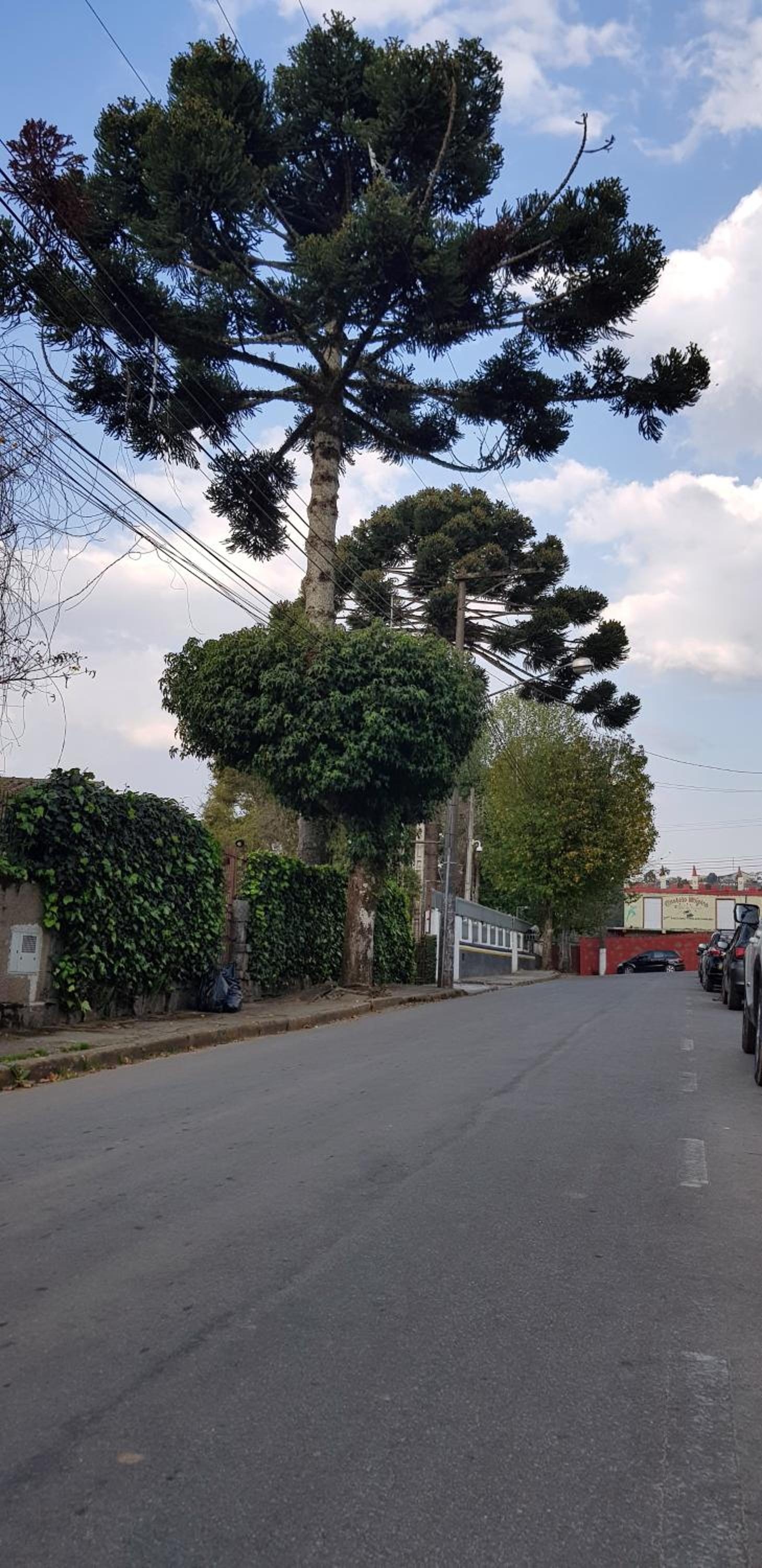 Recanto do Sonho em Campos do Jordão