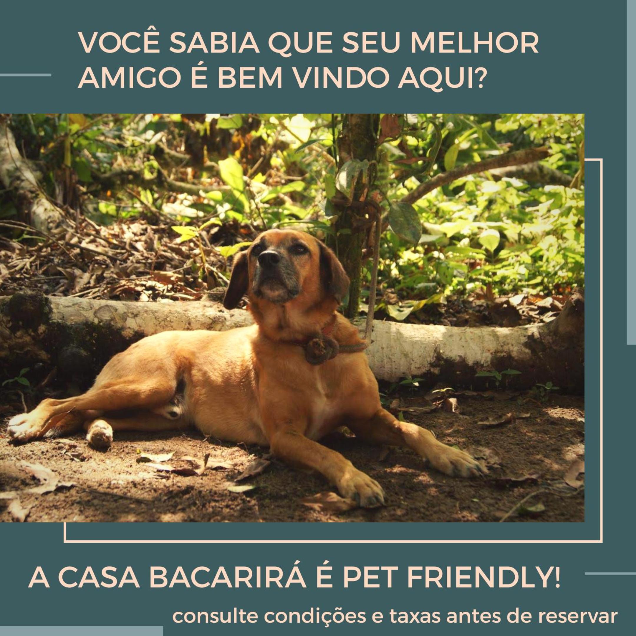 Casa Bacarirá - Floresta com Yoga e Café da Manhã Vegano