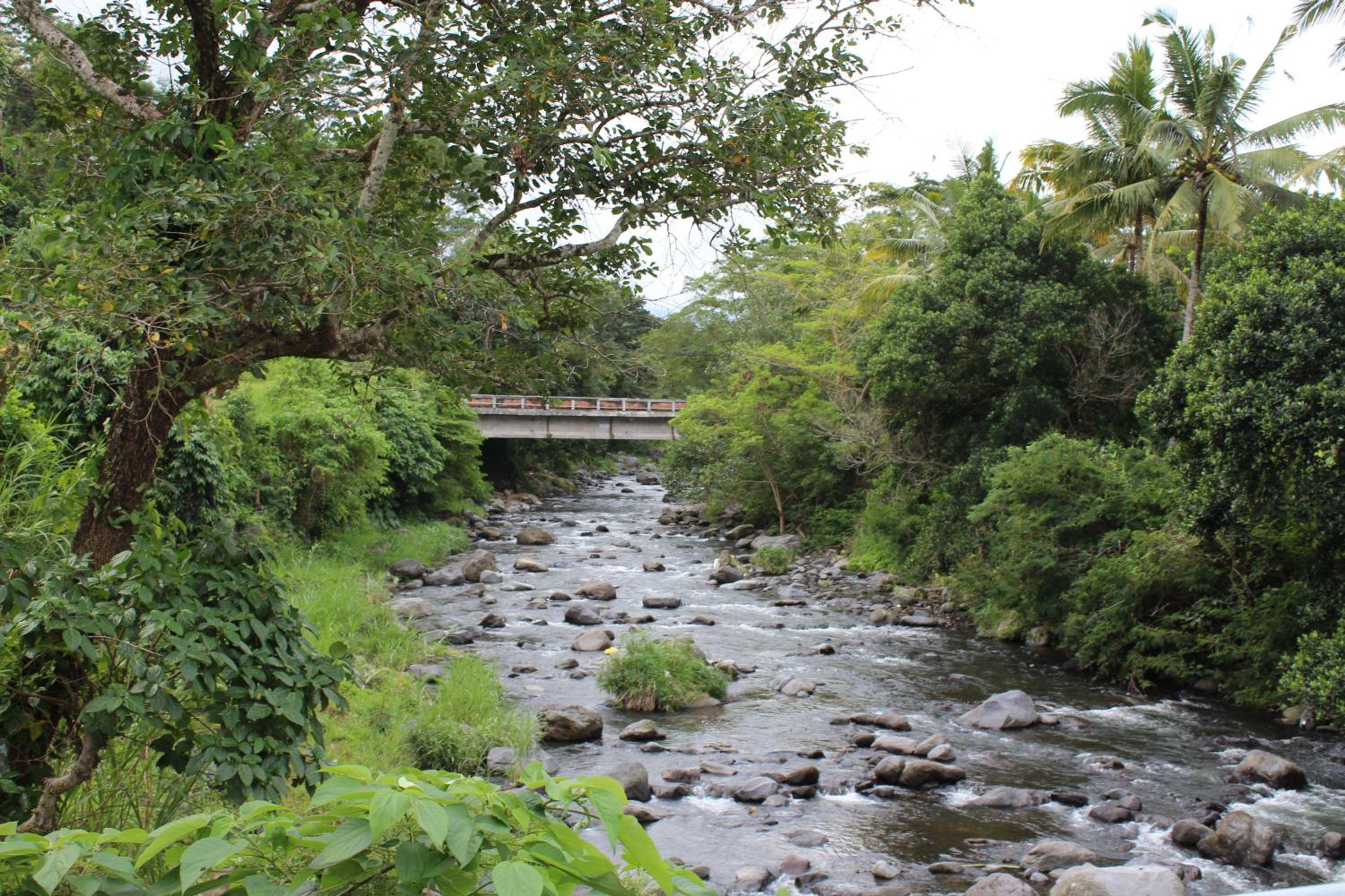 Pondok Tepi Sungai view 3