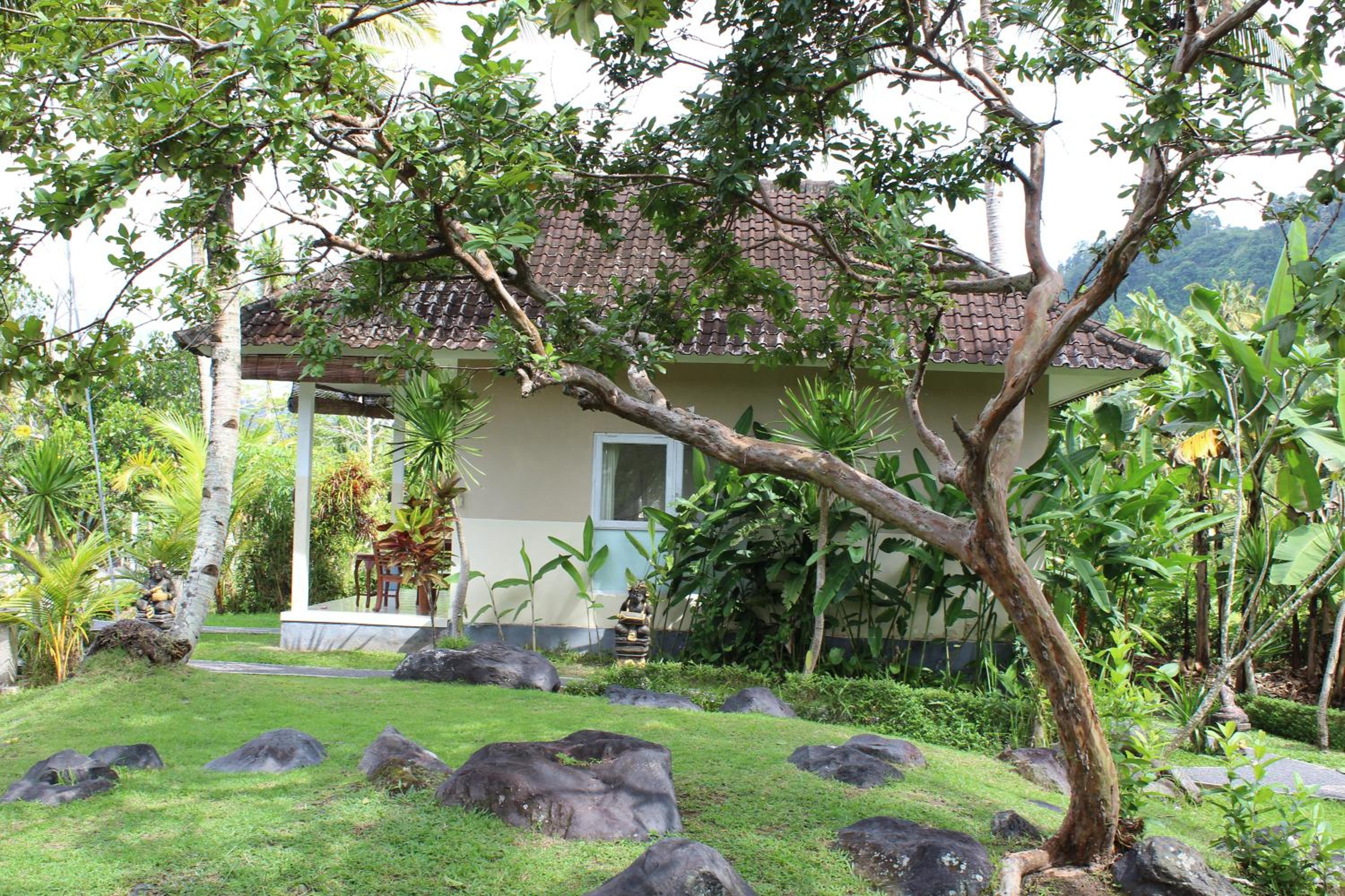 Photo 41