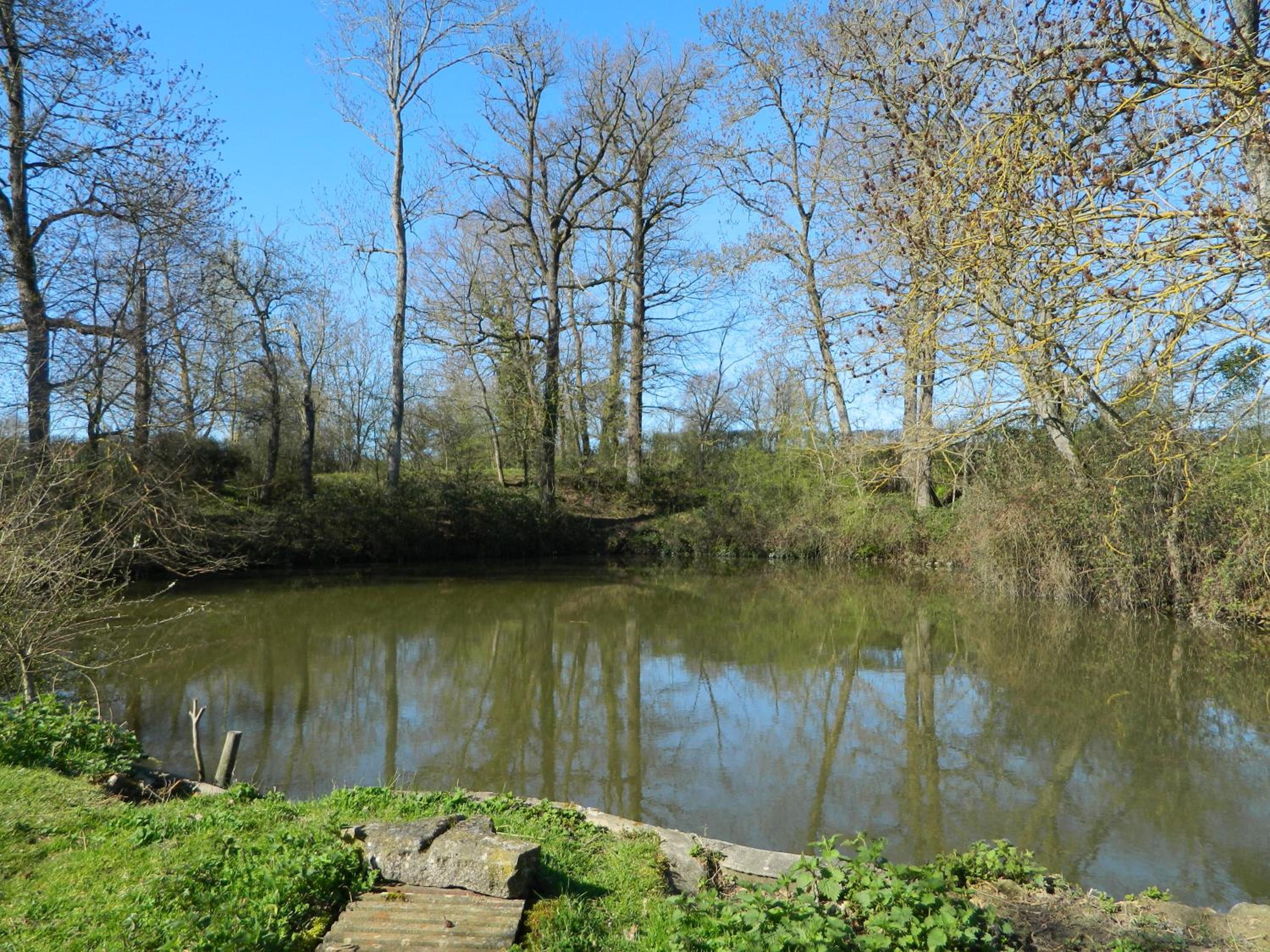 Photo 14