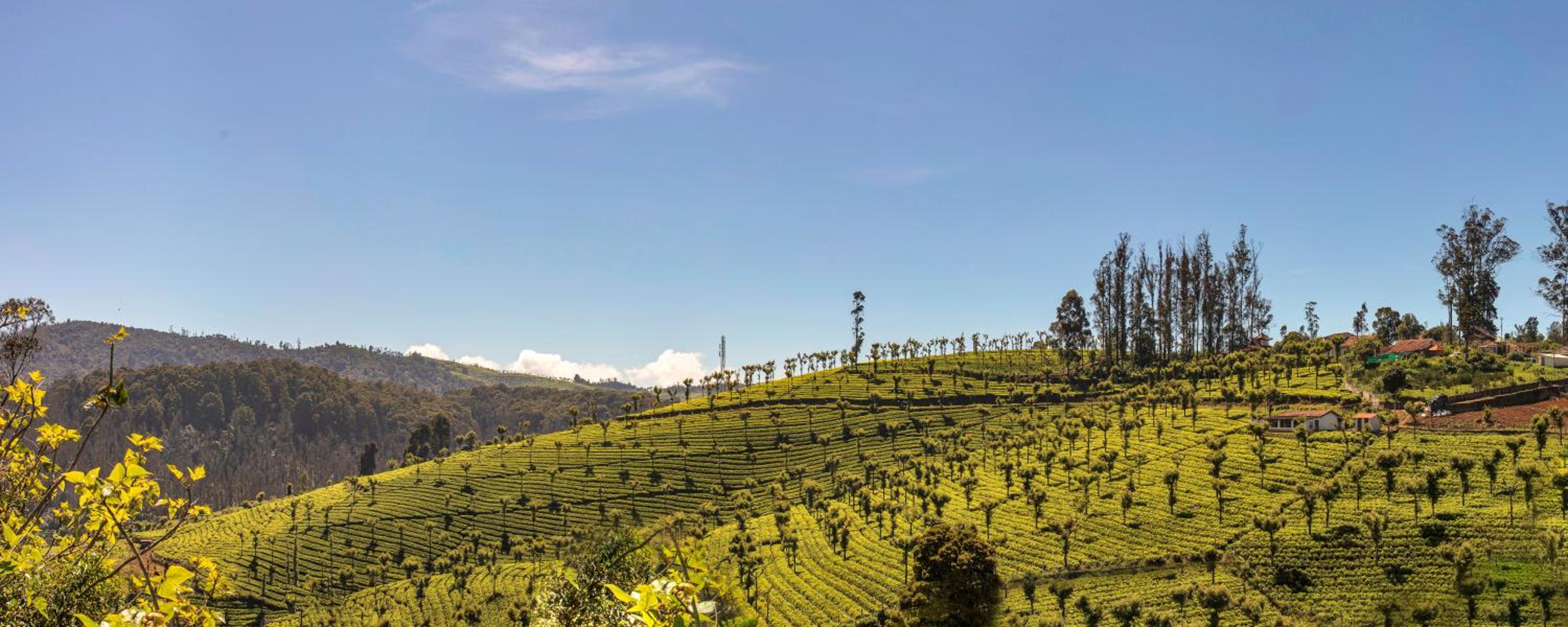 Club Mahindra Derby Green, Ooty view 4
