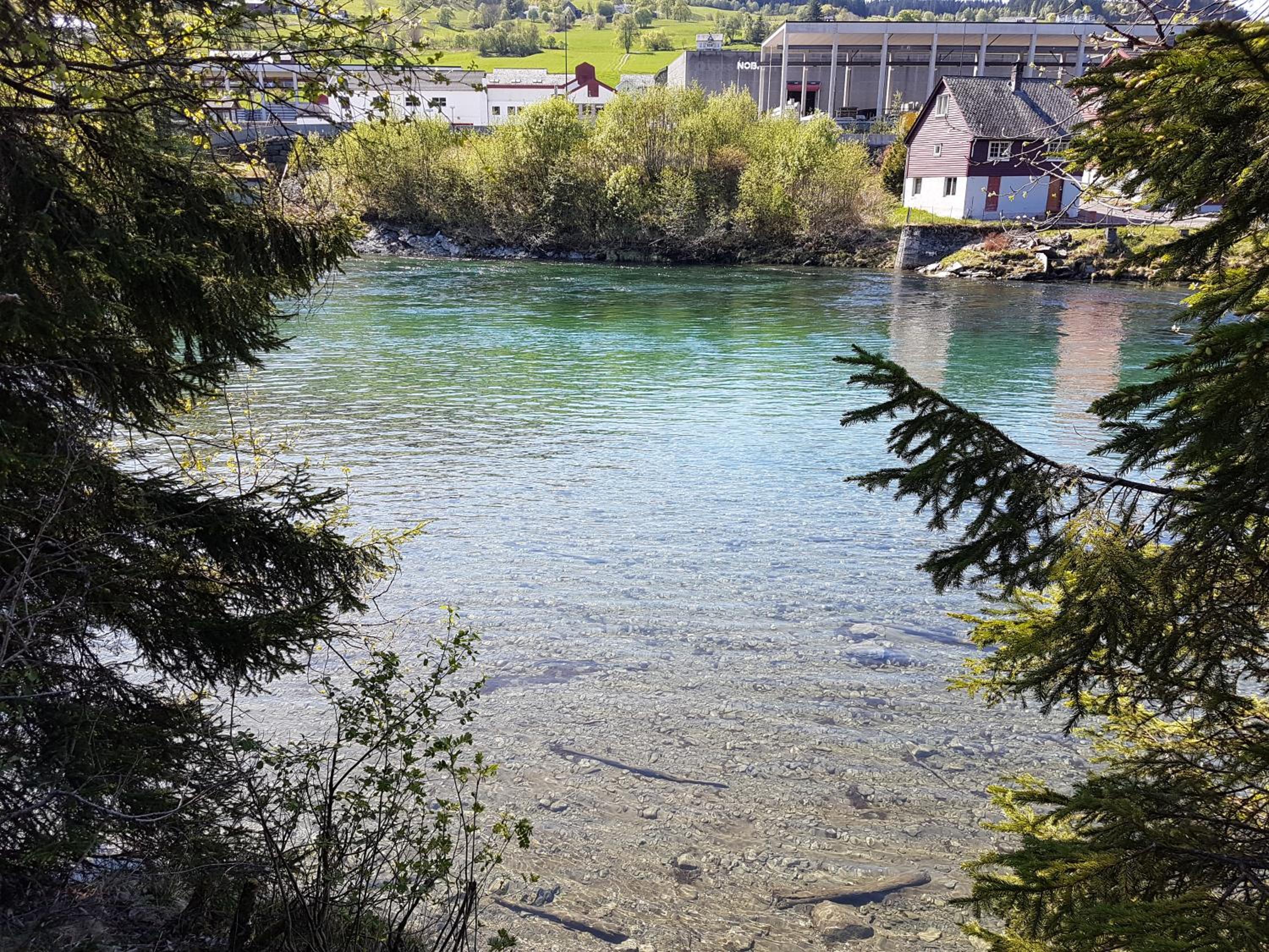 Photo 48
