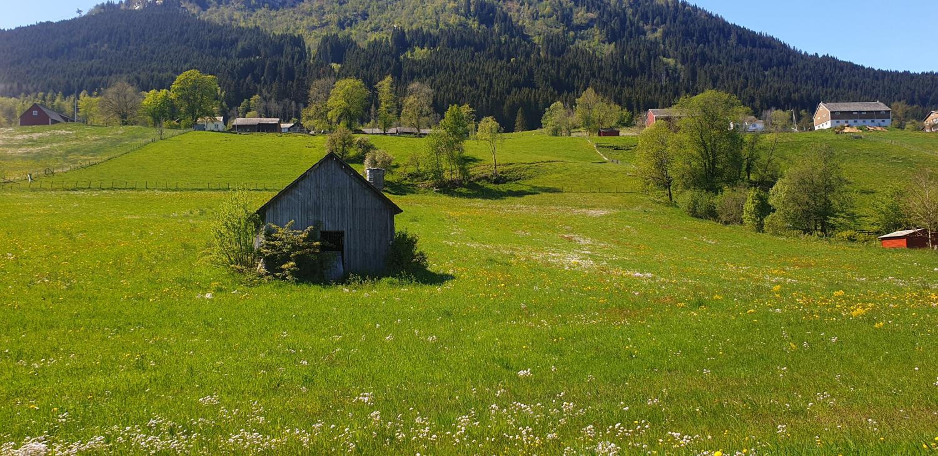 Photo 50