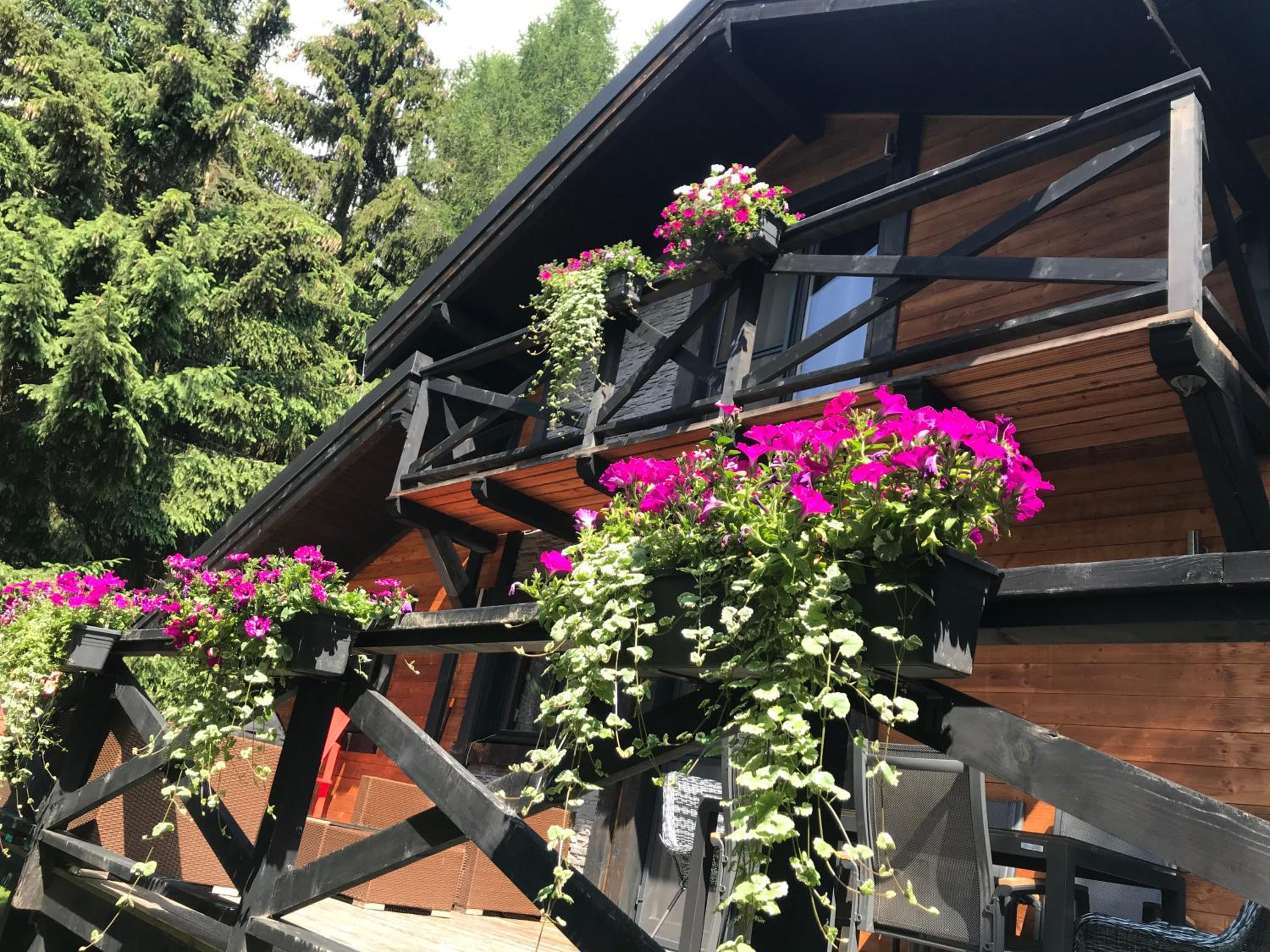 Chalet Račkova dolina view 2