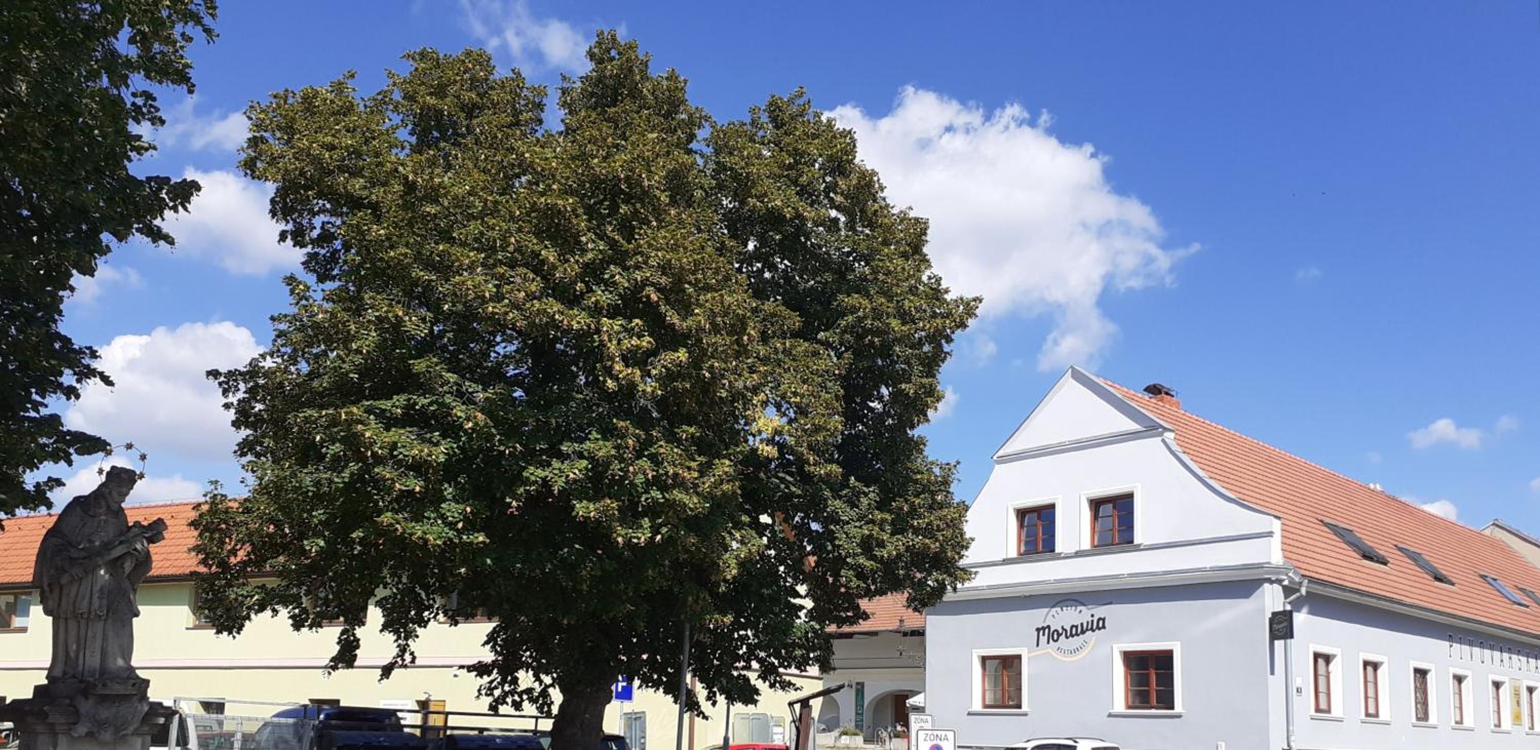 Penzion pivovarská restaurace Moravia