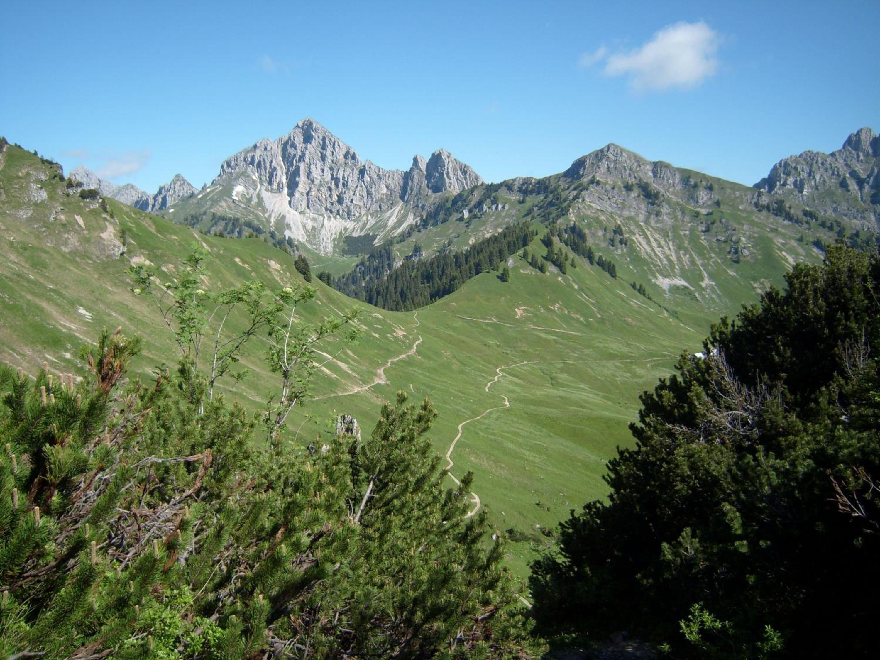 Photo 29