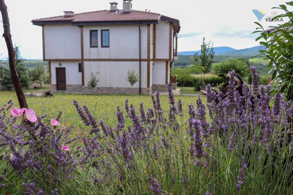Vis Velika