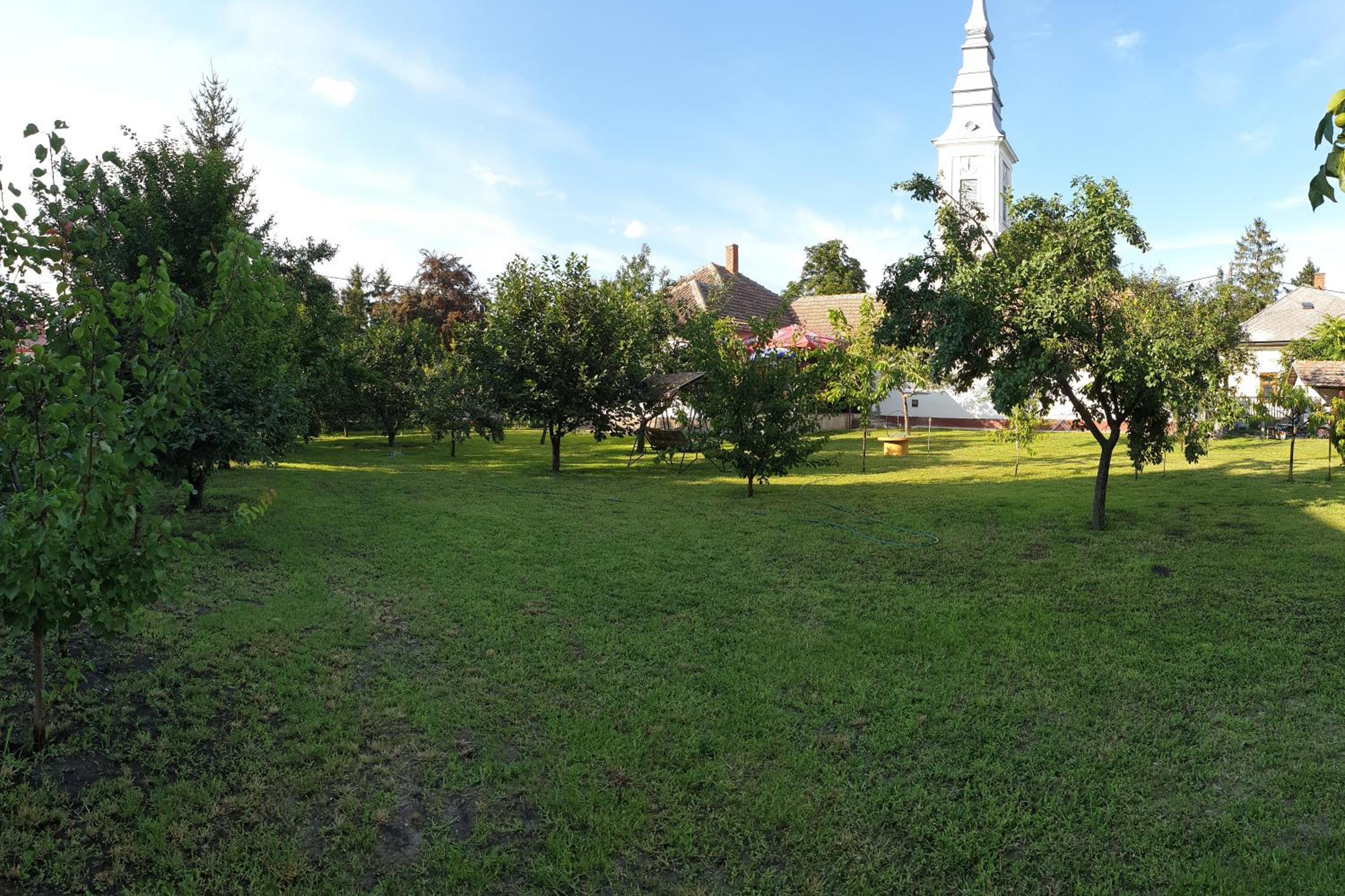 Photo 7