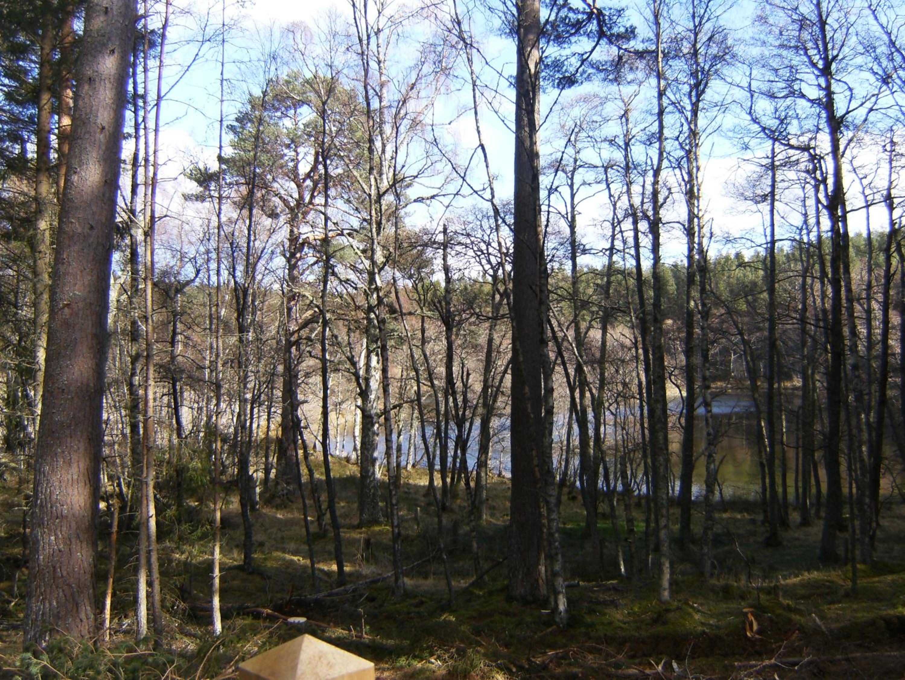 Photo 33