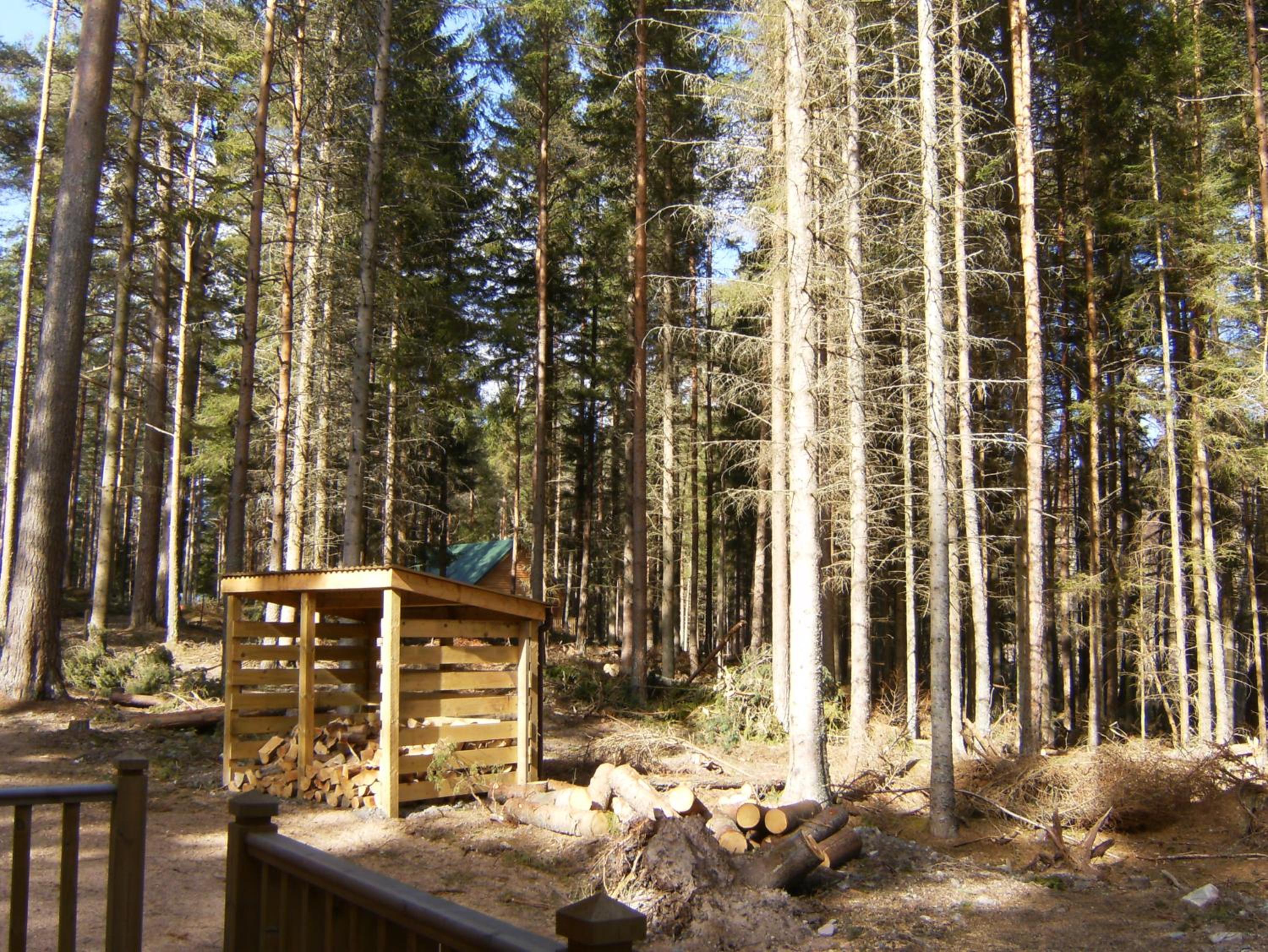 Photo 31