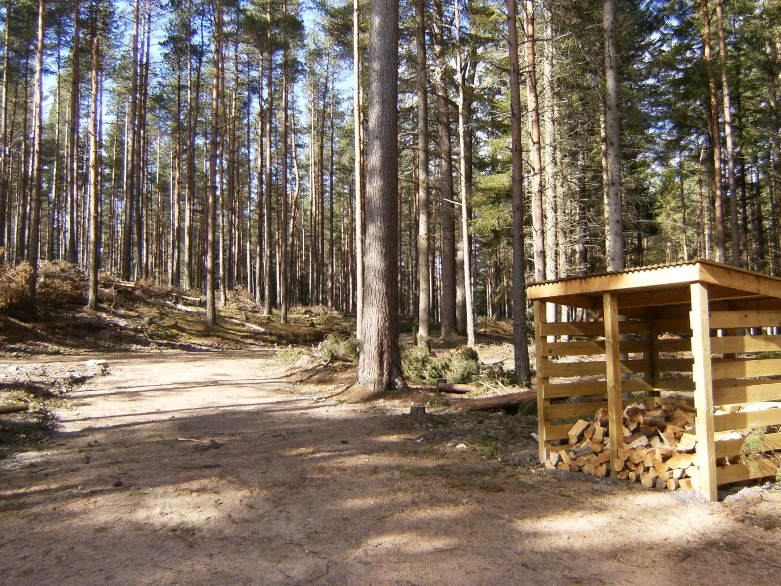 Photo 30