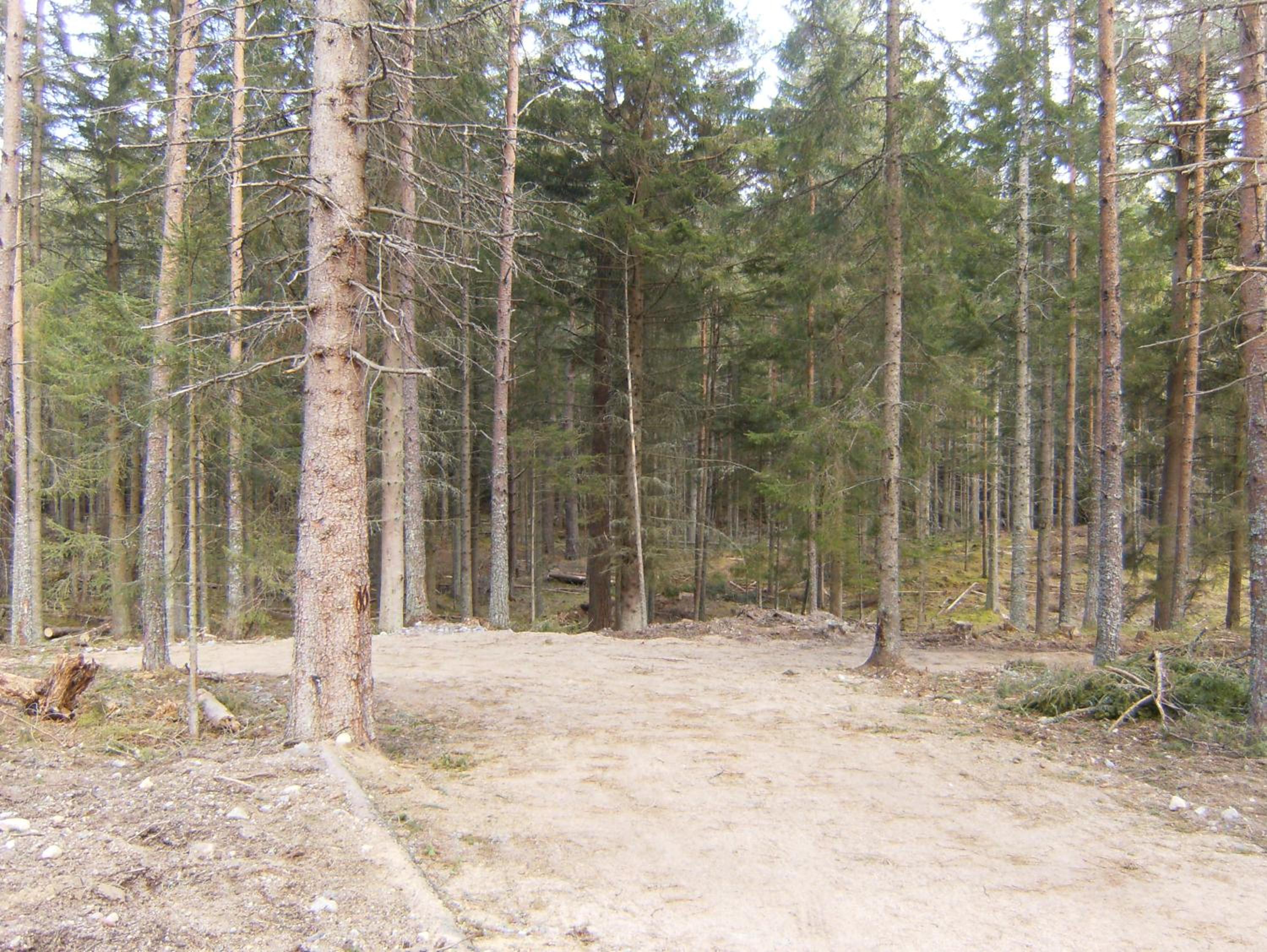 Photo 21