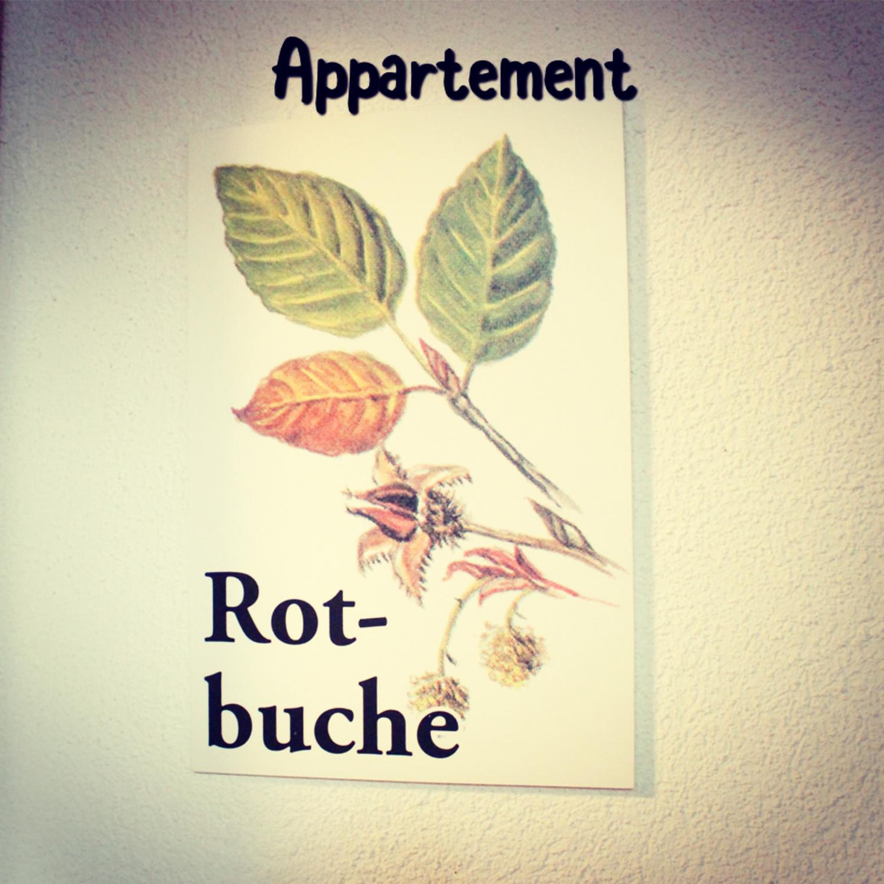 Chalet Rotenstein