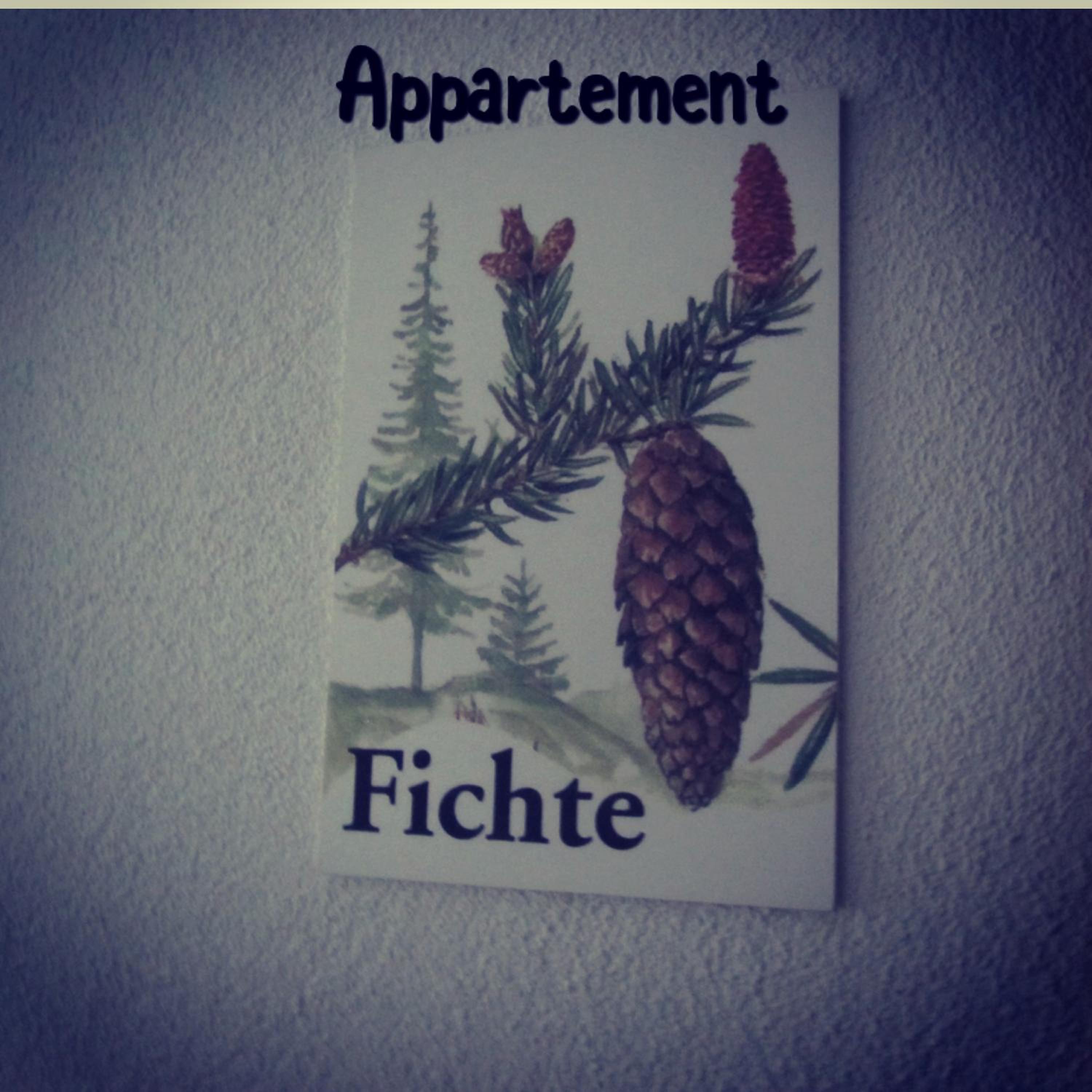 Chalet Rotenstein