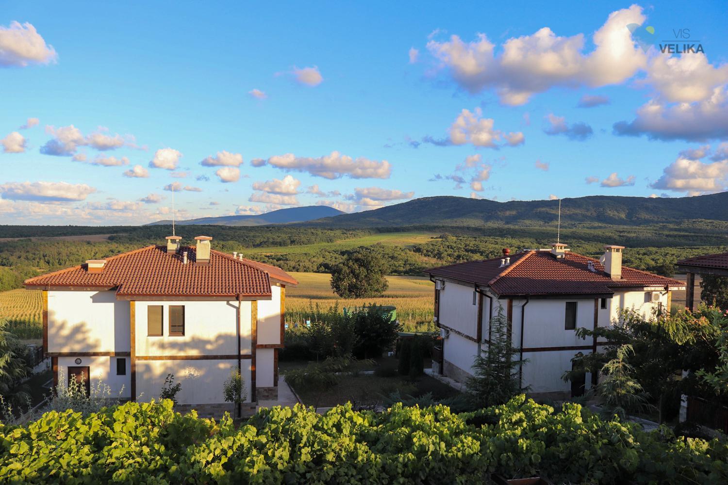 Vis Velika