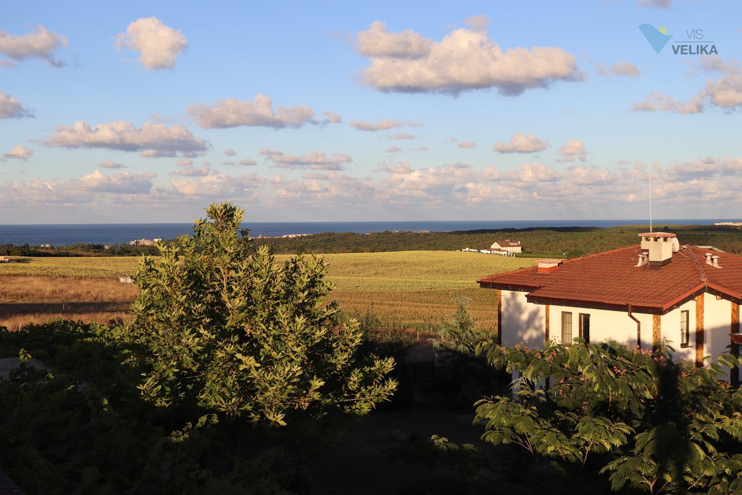 Vis Velika