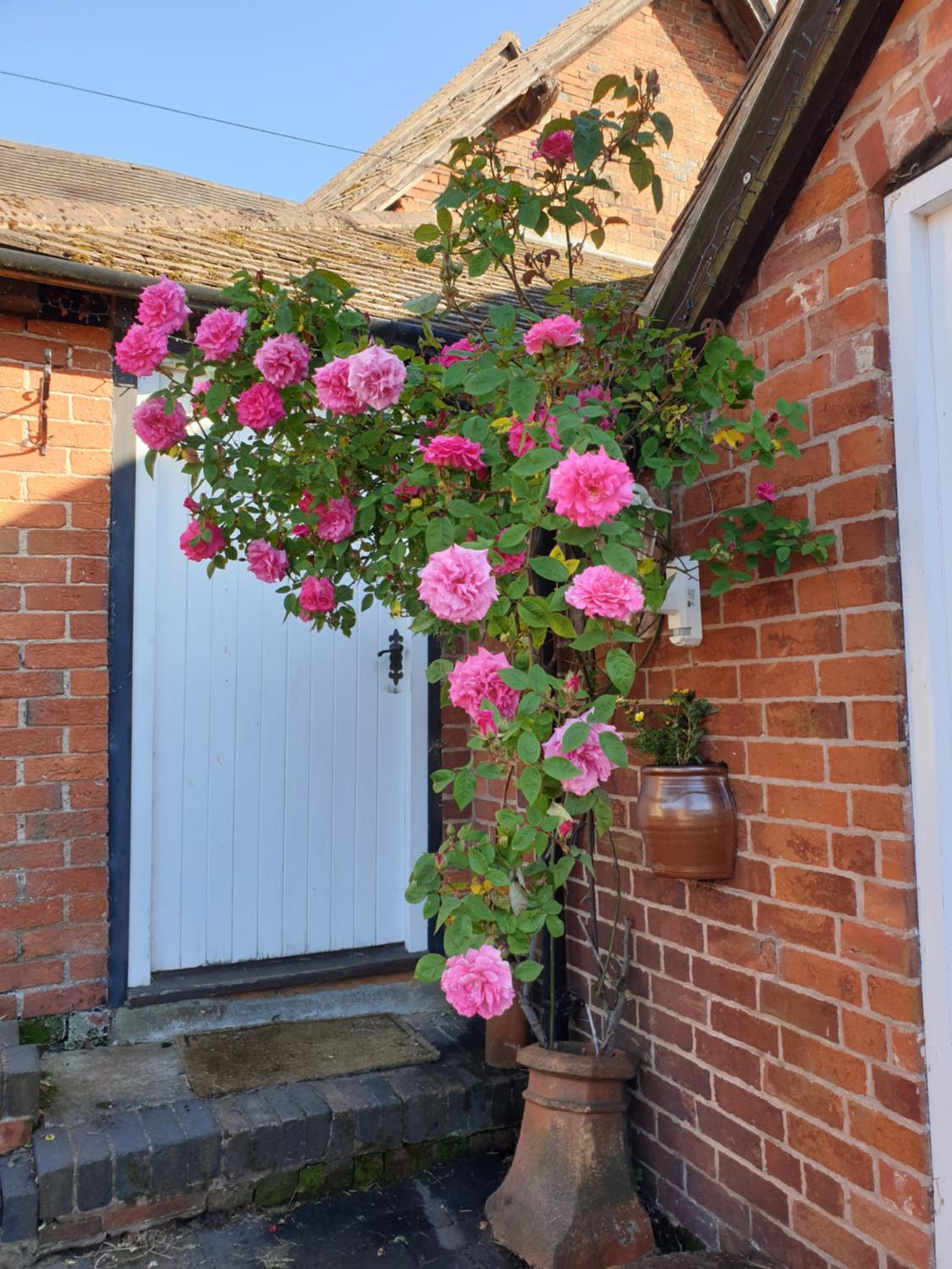 Church Farm Accommodation view 5