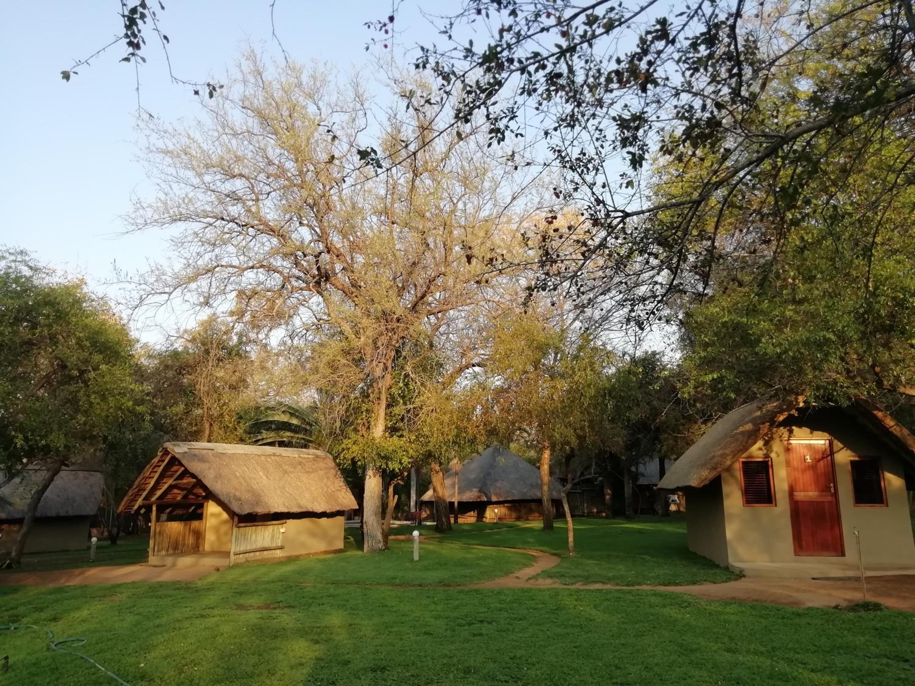 Shumba Safari Bush Camp view 5