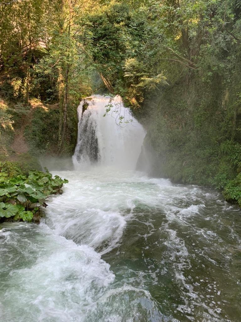 Photo 45