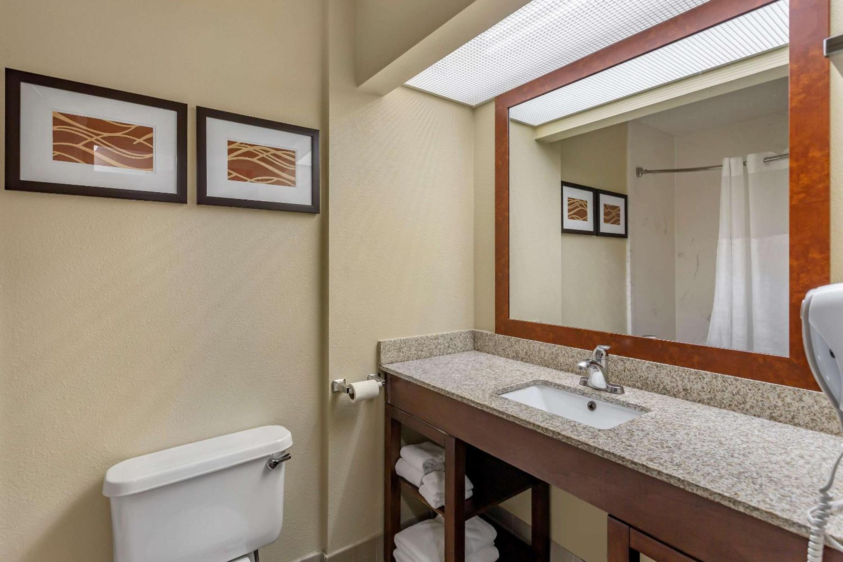Comfort Suites At Rivergate Mall - Property Image 2