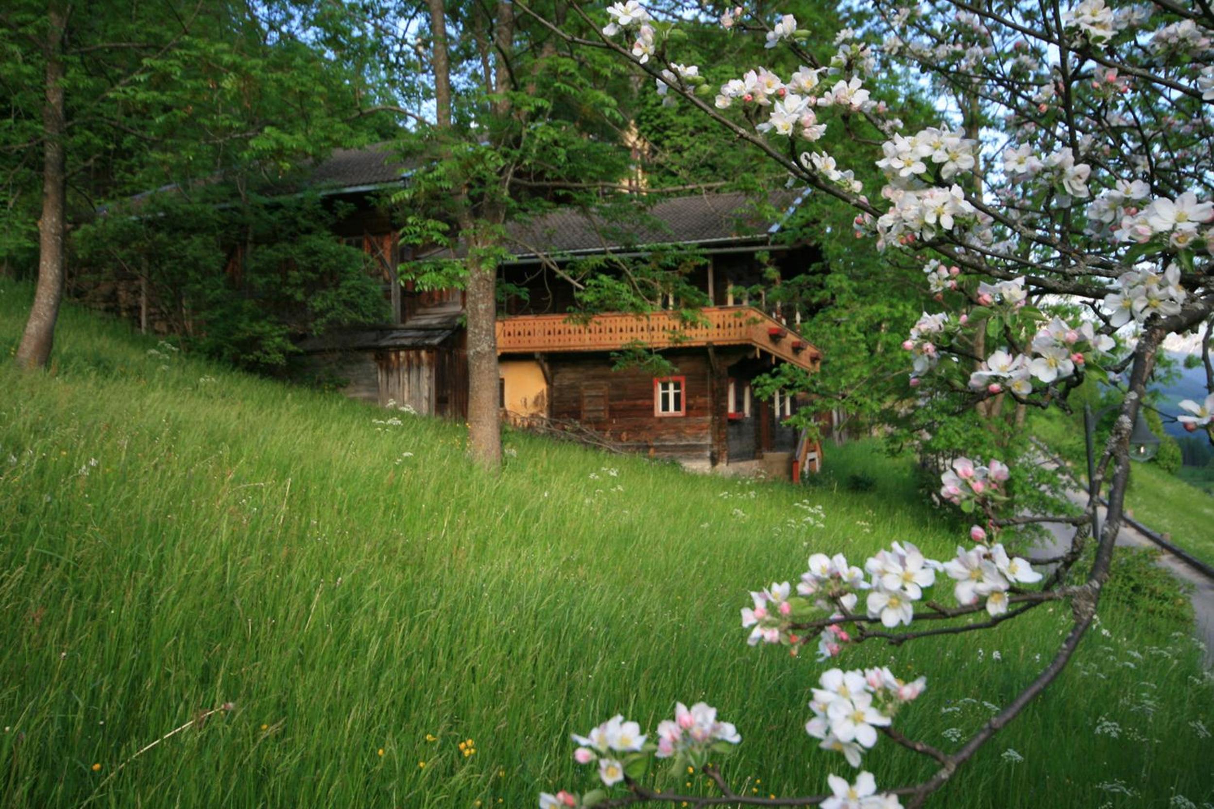 Photo 41