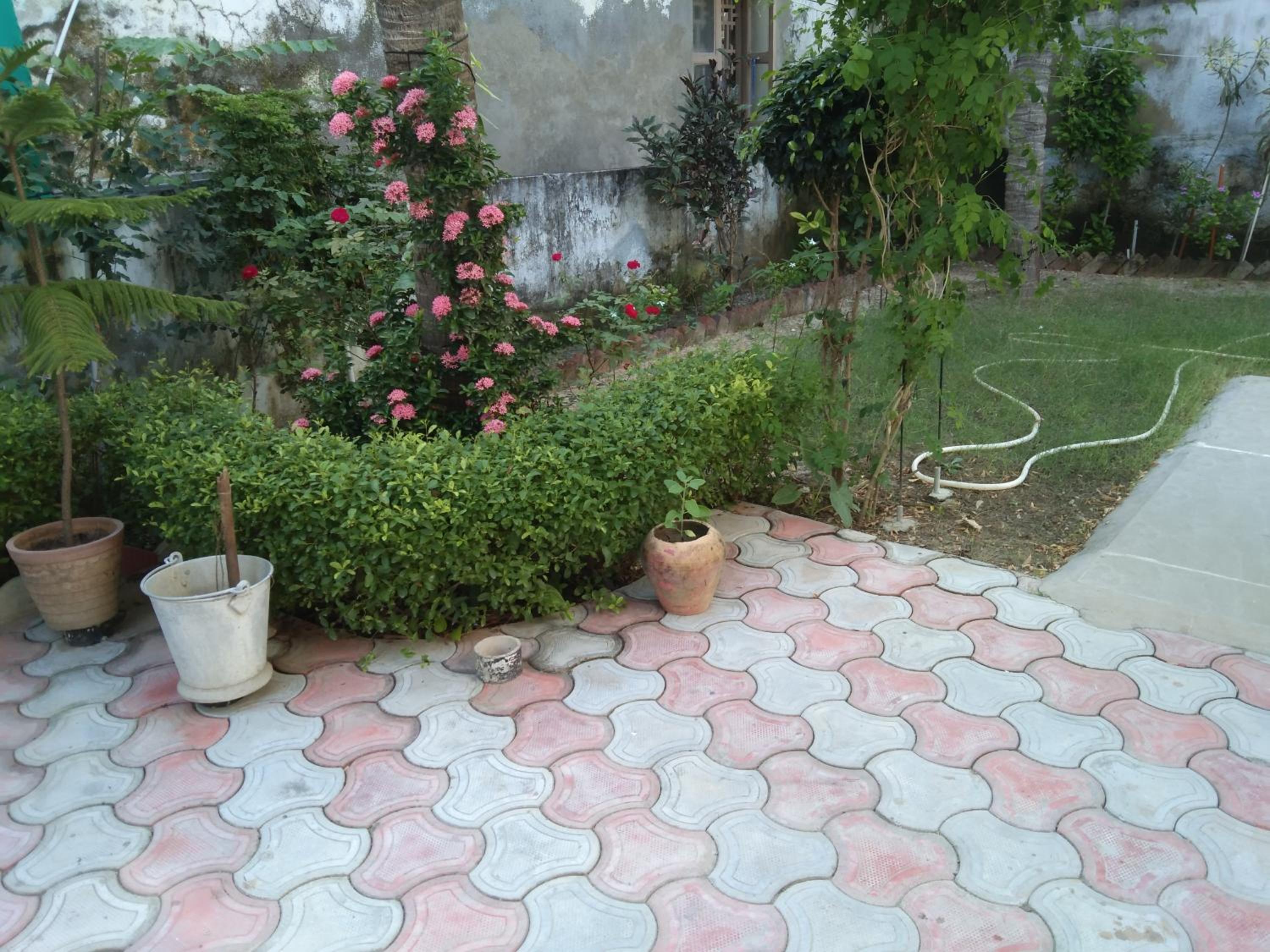 Photo 8