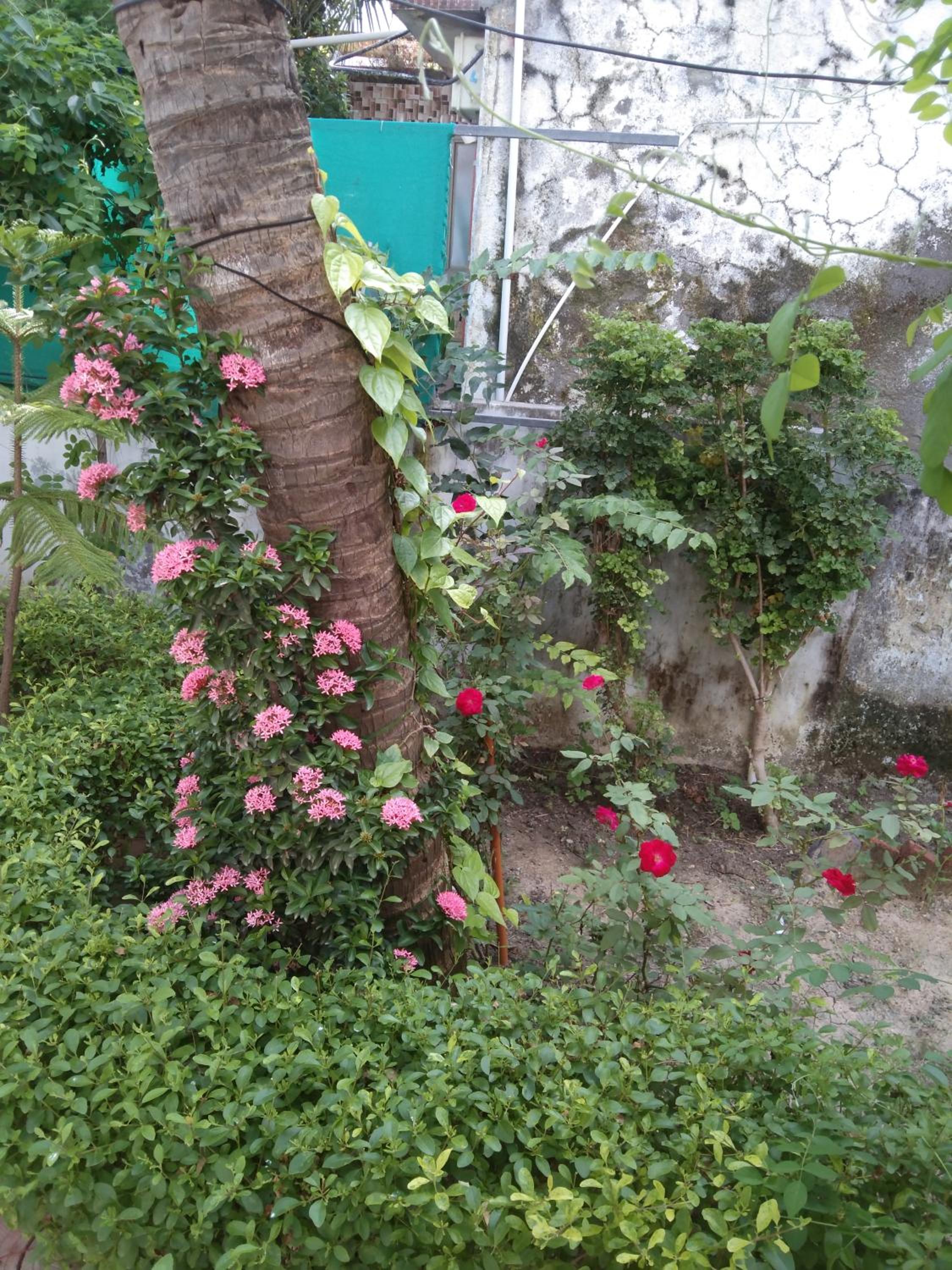 Photo 7