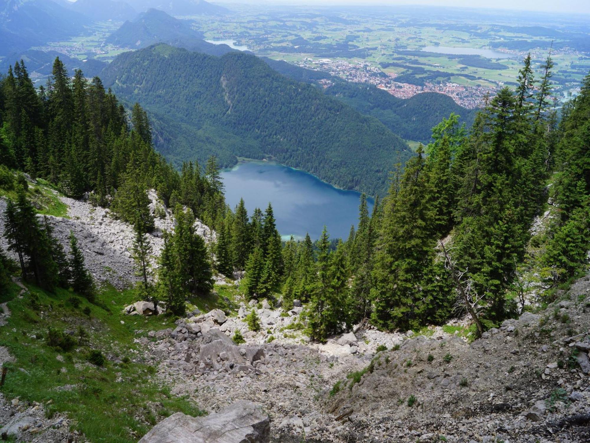 Photo 41