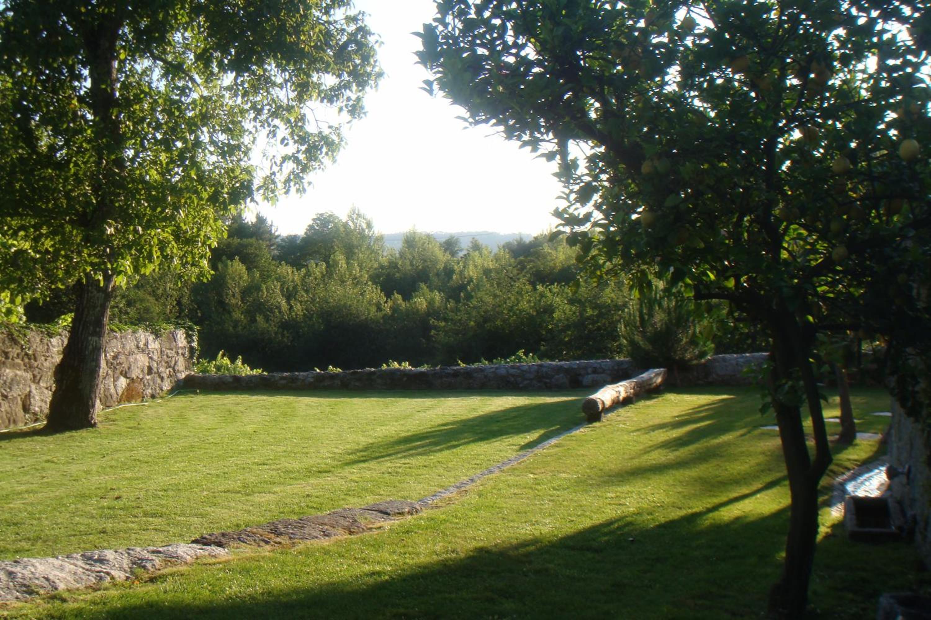 Photo 34